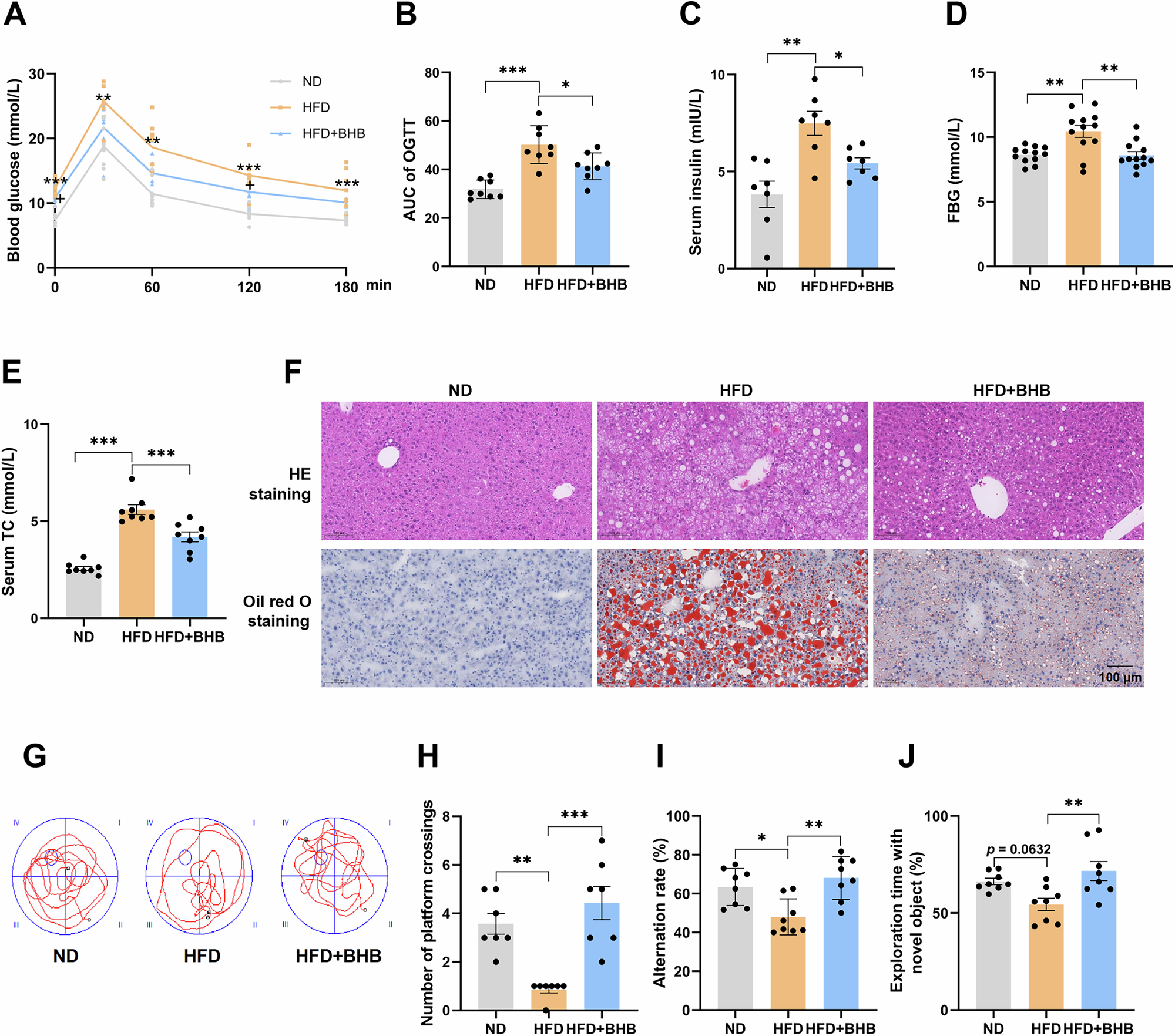 Fig. 3: BHB ameliorates HFD-induced systemic glucose/lipid metabolic disturbances, insulin resistance, and cognitive dysfunction in mice.