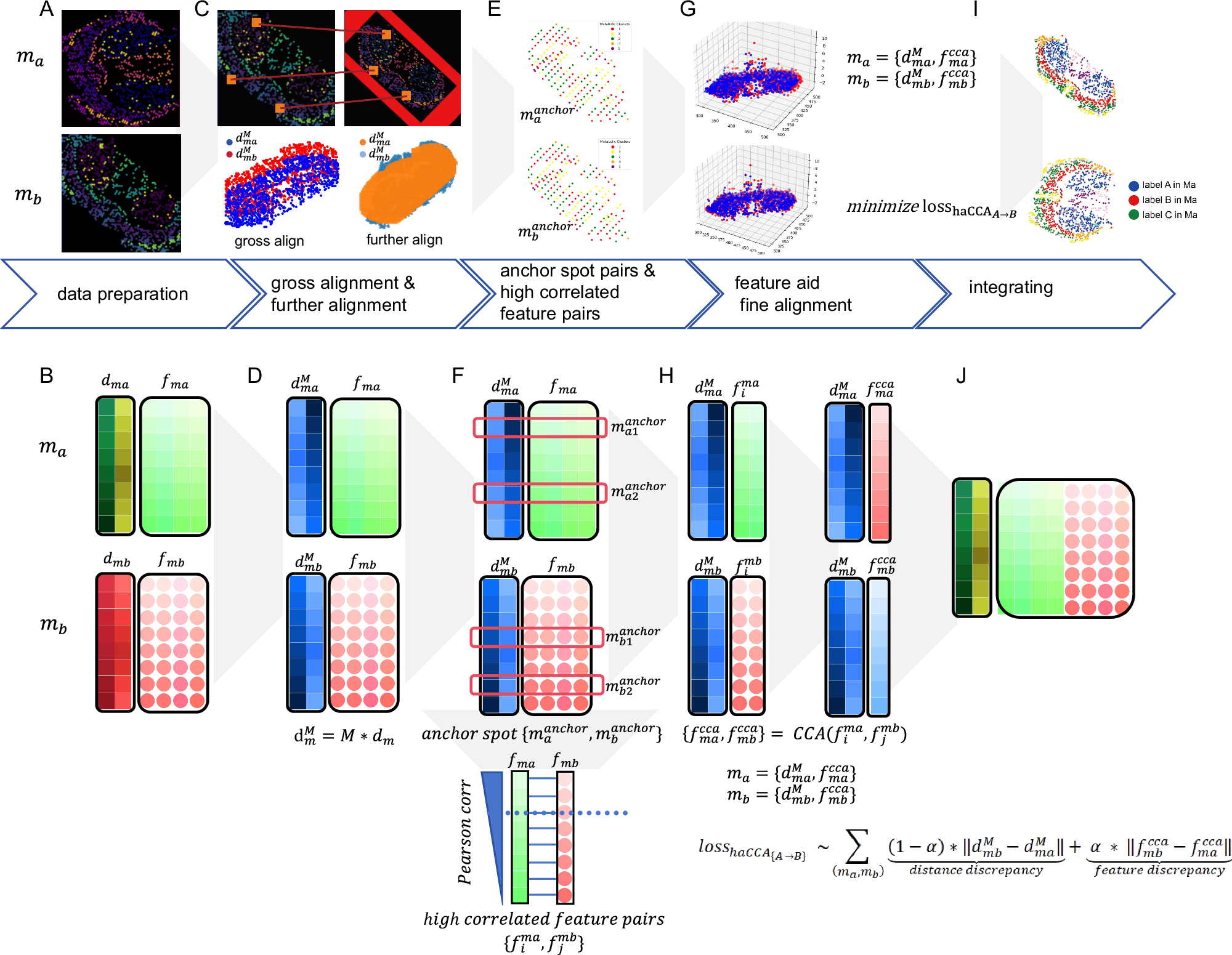Fig. 1: An overview illustrator of high correlated feature pairs combined with spatial morphological alignment(haCCA).