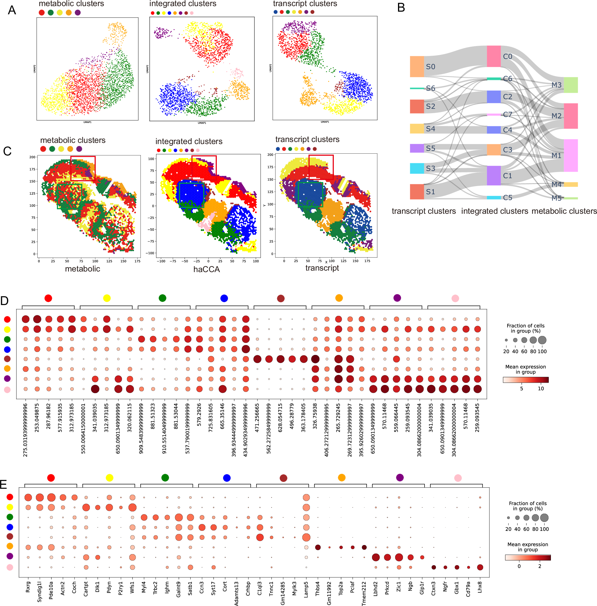 Fig. 4: haCCA generated multi-modal data allows integrative analysis of transcriptome and metabolome.