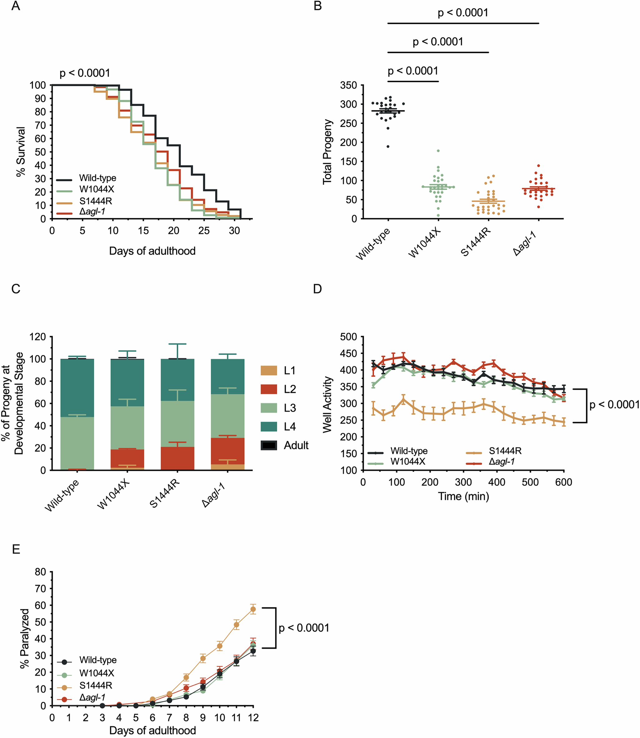 Fig. 2: Behavioral characterization of C. elegans GSDIII disease models shows significantly impaired development and aging phenotypes.