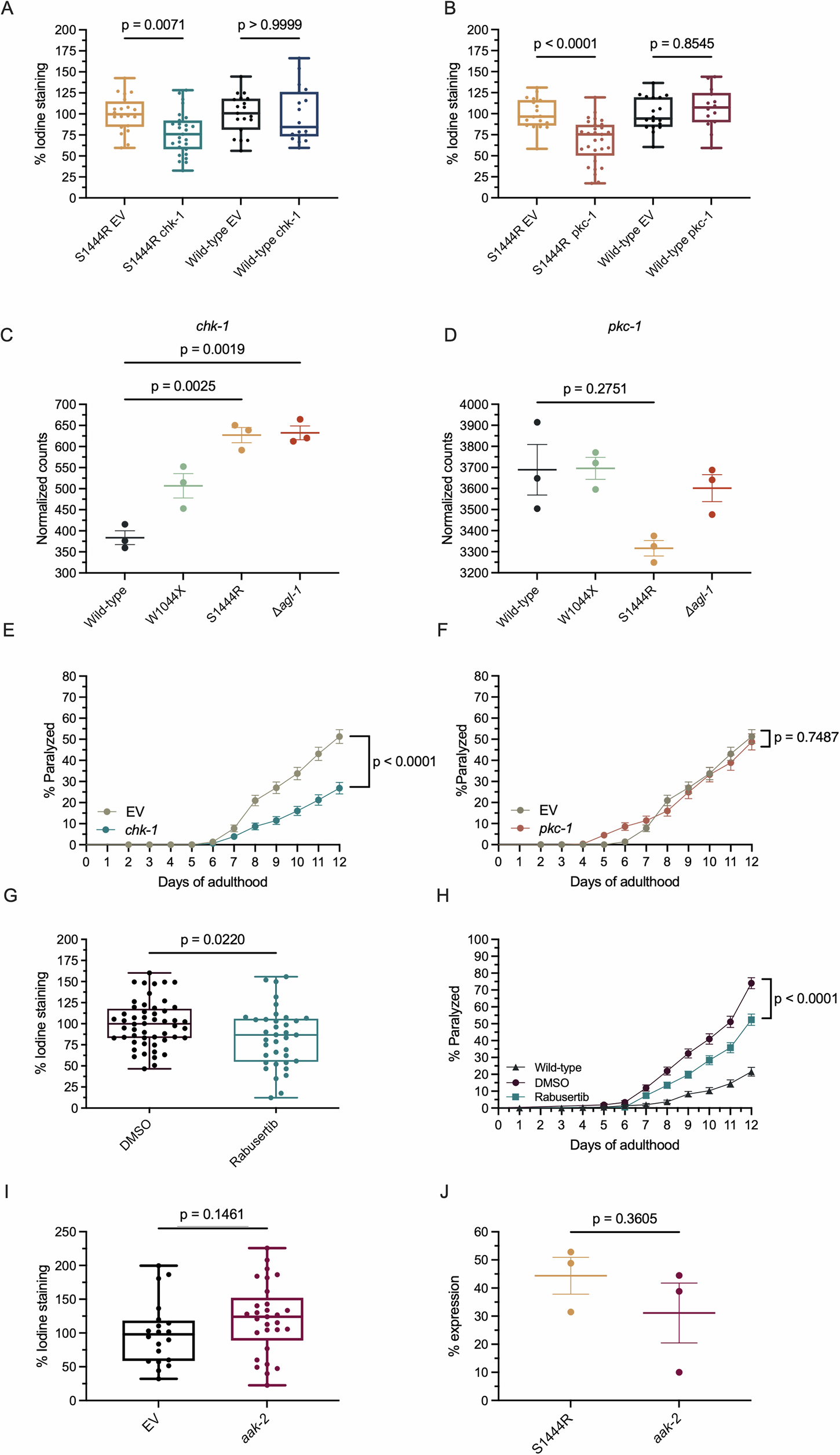 Fig. 6: Knockdown of chk-1 and pkc-1 shows complete and partial rescue of dysfunctions in agl-1 mutants.