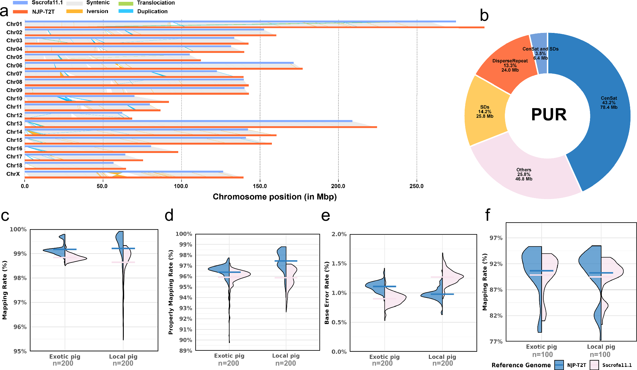 Fig. 3: Improvement of the NJP-T2T Genome.