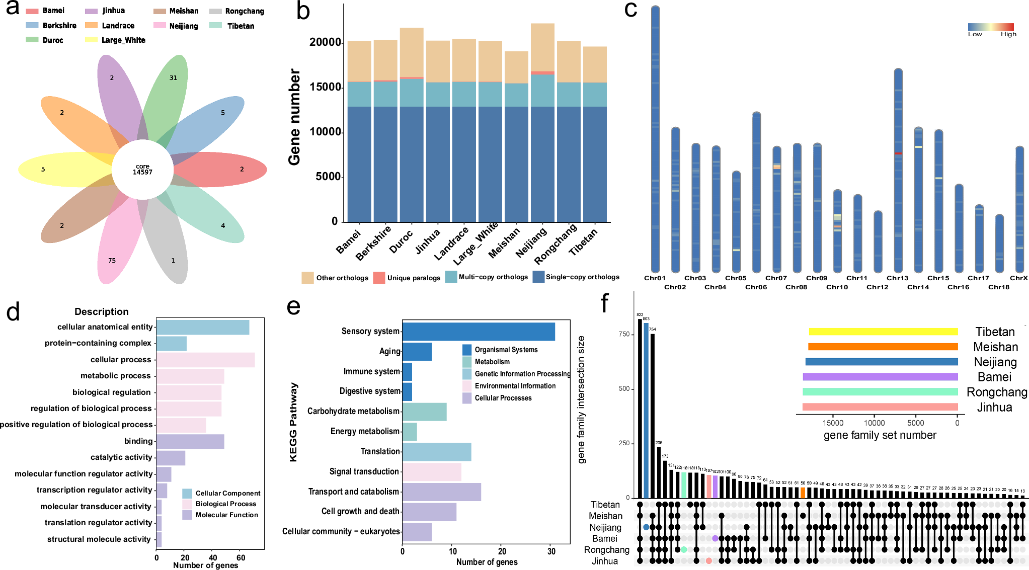 Fig. 4: Gene family analysis results.