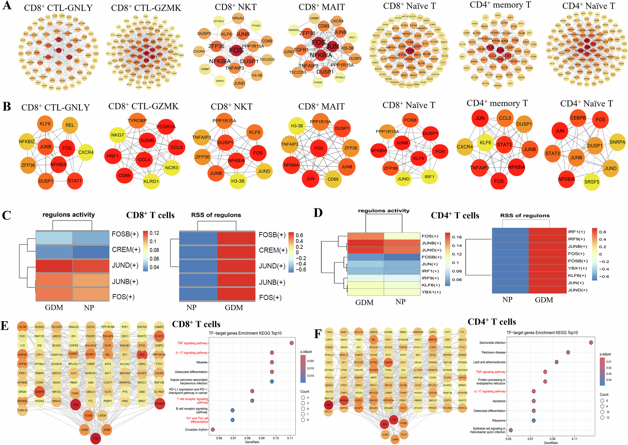 Fig. 4: Hub genes and transcriptional regulation of T cell function in GDM.