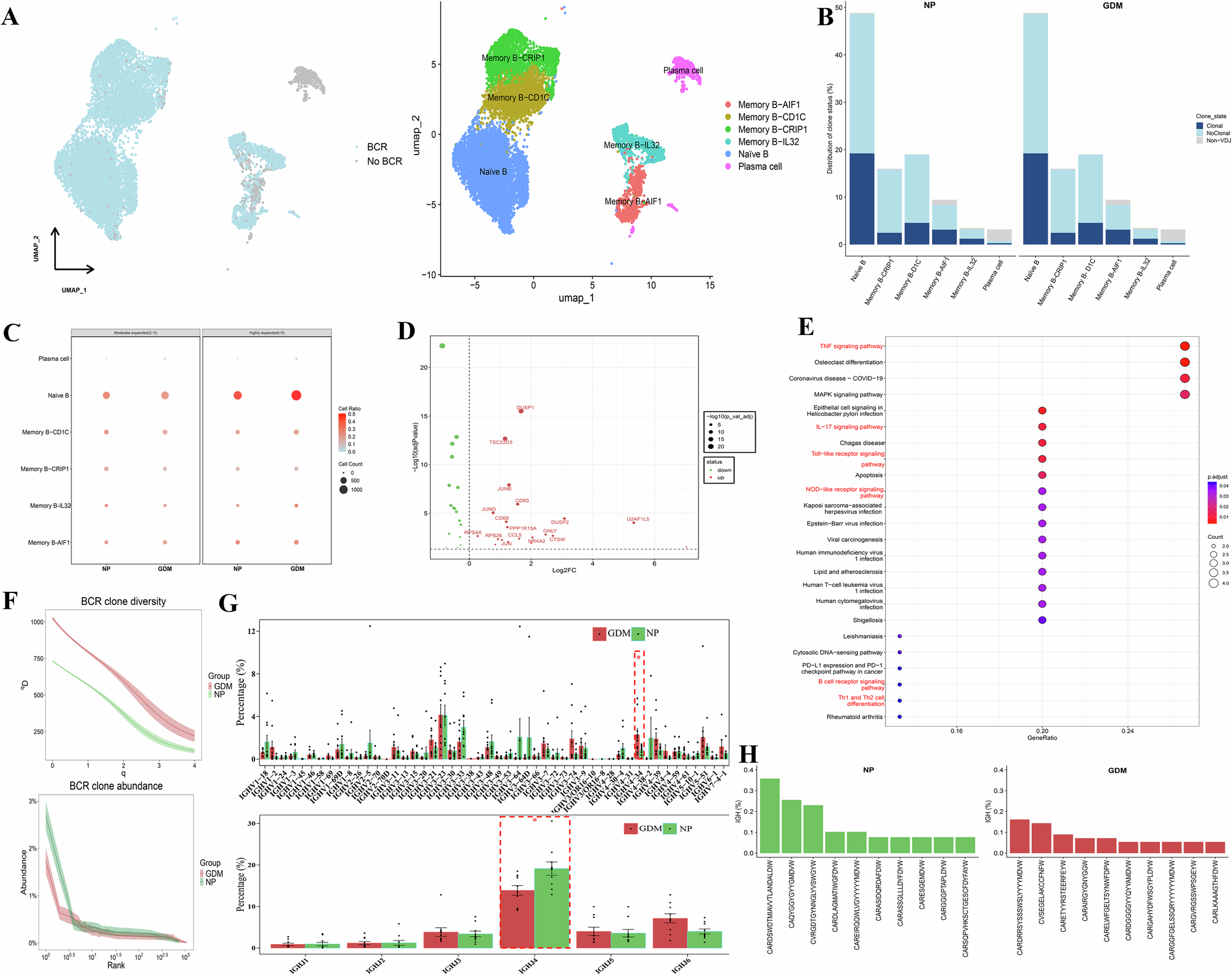 Fig. 7: Characterization of B cell immune repertoires in women with GDM undergoing ART treatment.