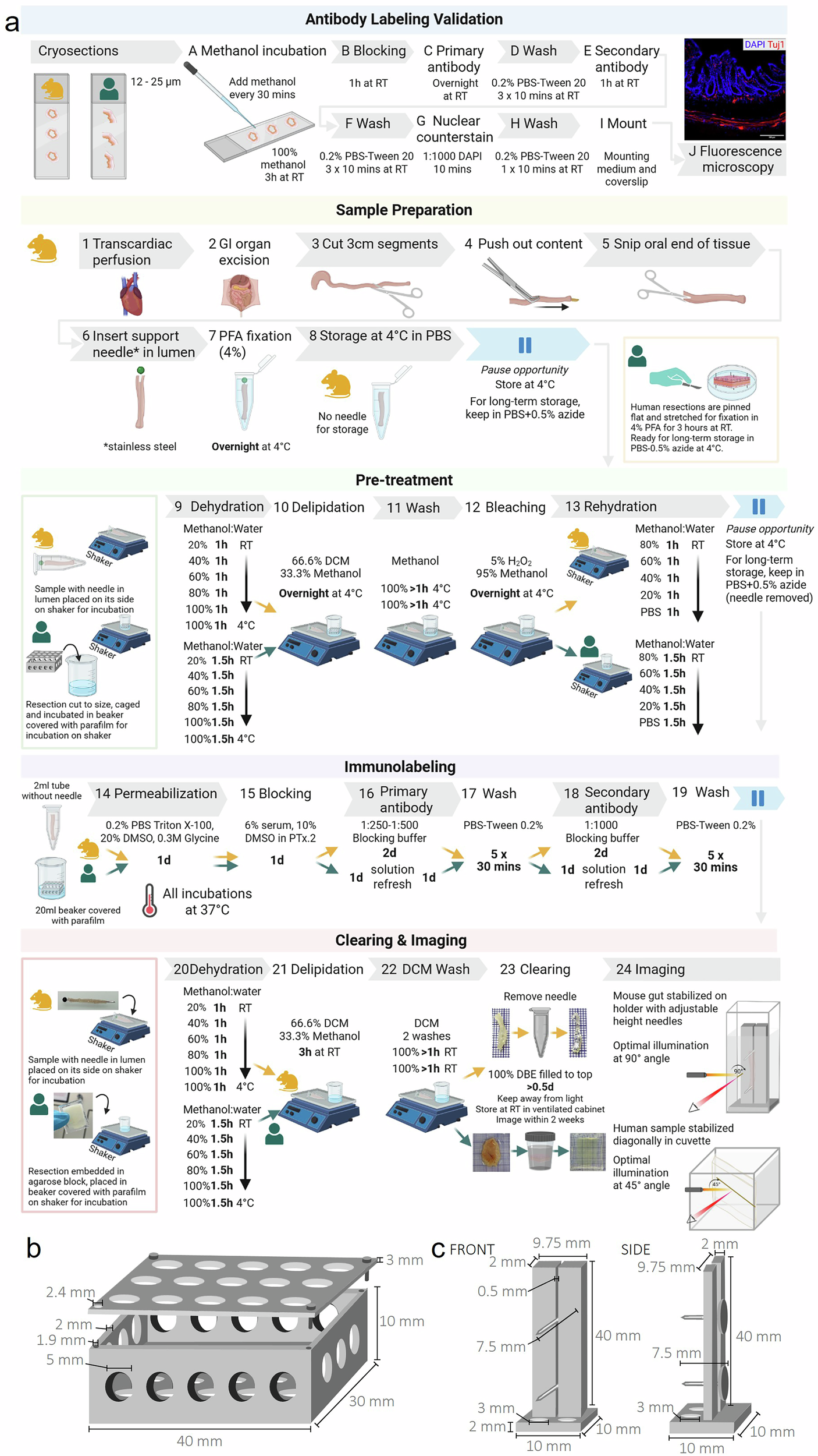 Fig. 1: Overview of enGLOW processing and specialized equipment.