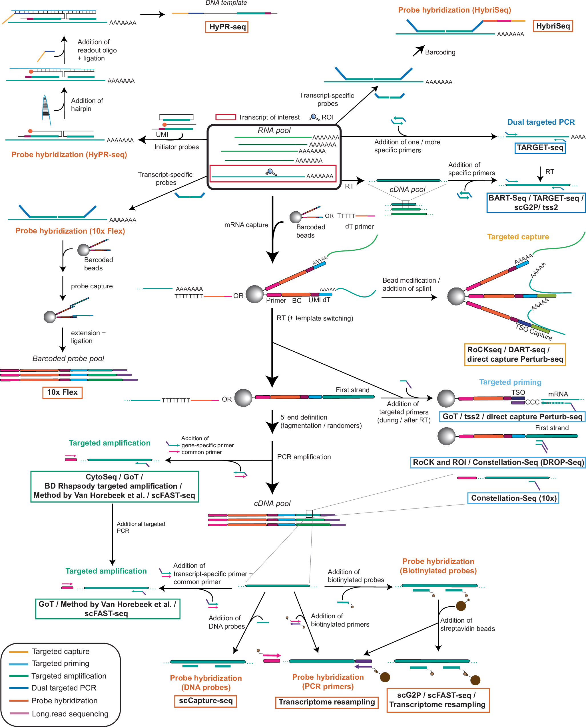 Fig. 3: Summary of targeted scRNA-seq methods.