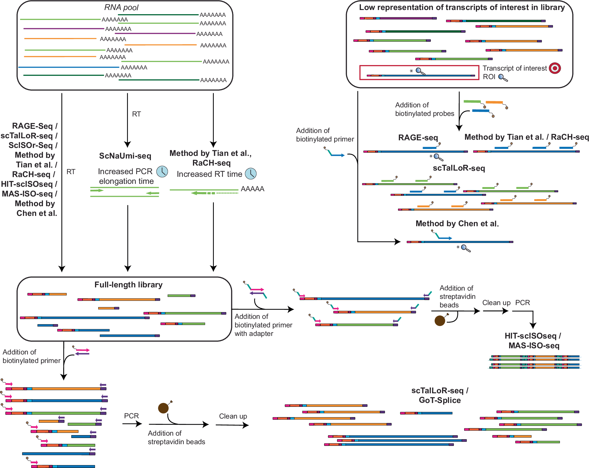 Fig. 4: Summary of technologies coupling long-read sequencing with 3′/5′ based library generation.