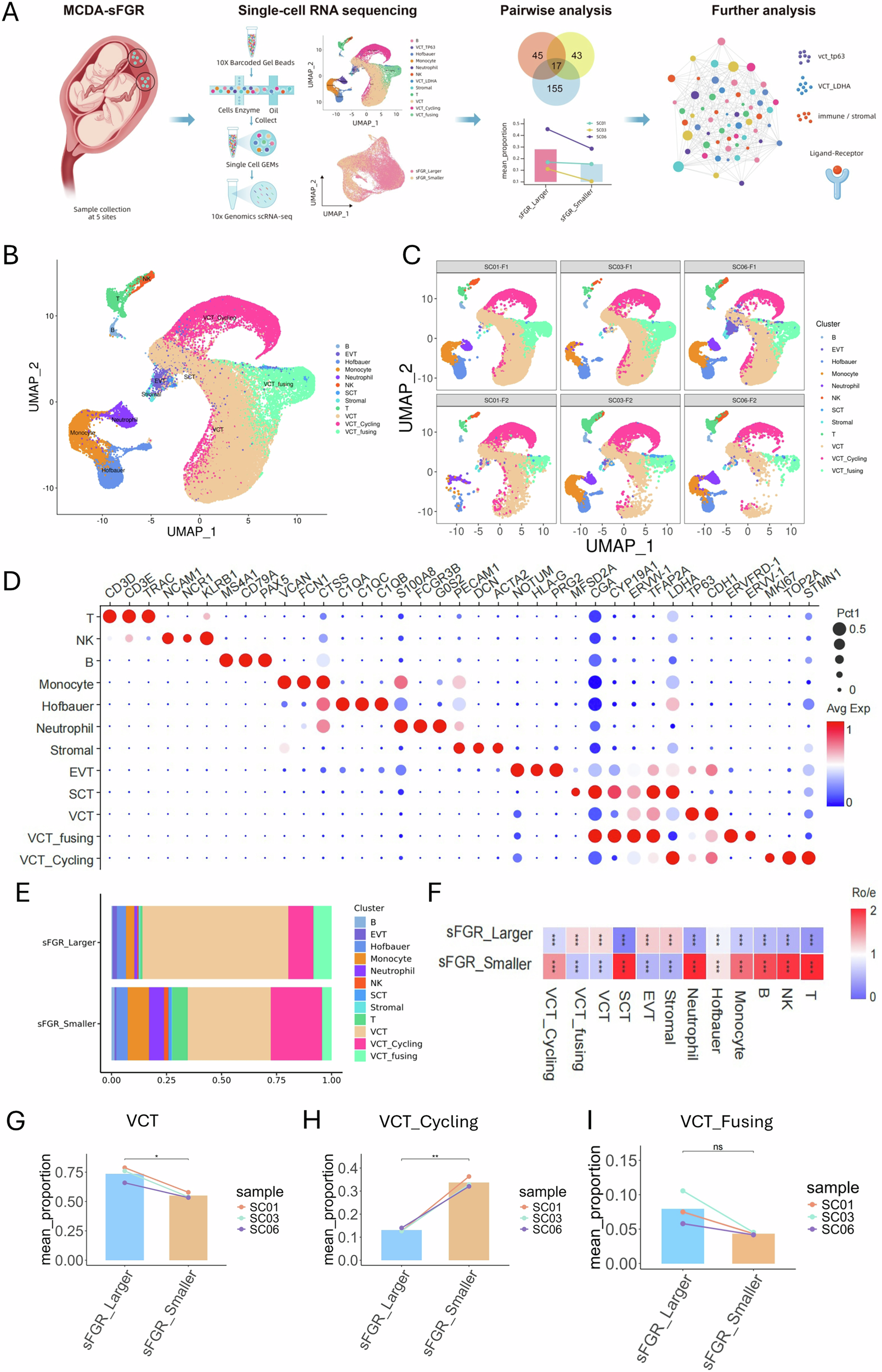 Fig. 1: Single-cell transcriptomic profiling and cell composition alterations in sFGR placentas.