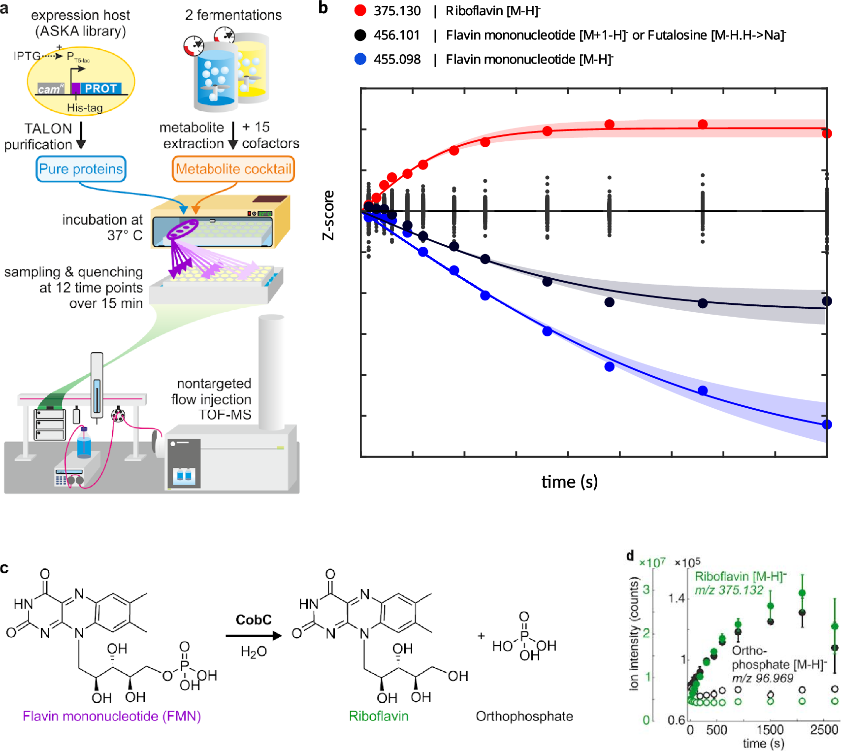 Systematic discovery of enzyme promiscuity in Escherichia coli using in vitro metabolomics