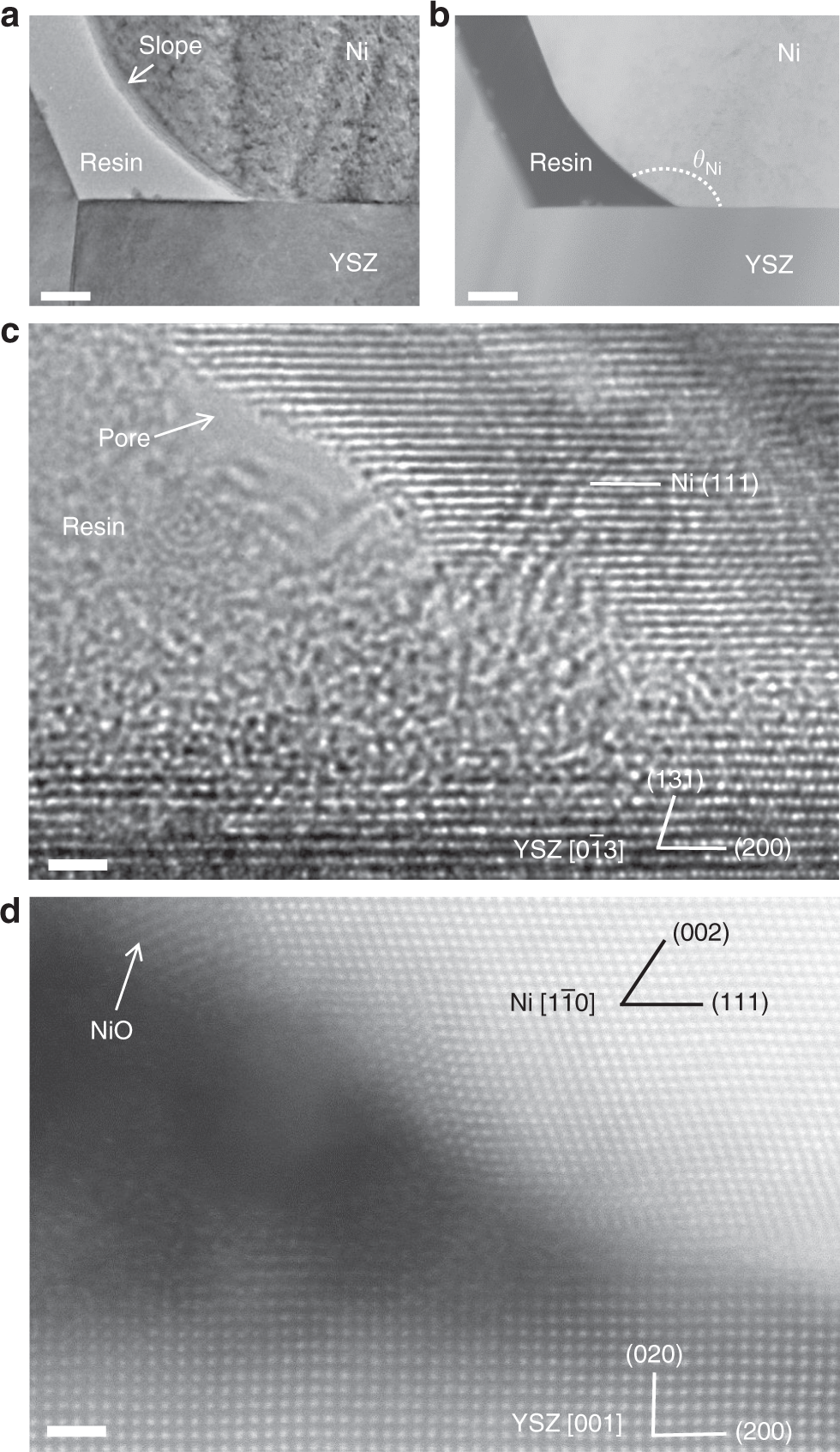 Atomic Structure Observations And Reaction Dynamics - 