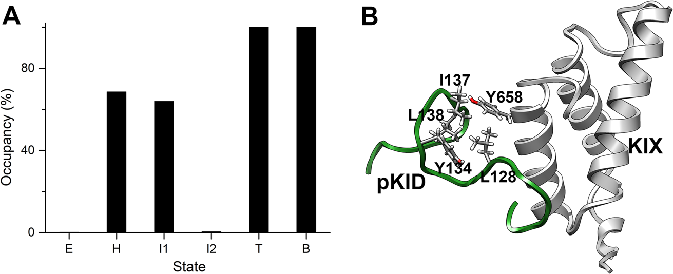 Fig. 6: The interactions between Y658 and HRC residues.