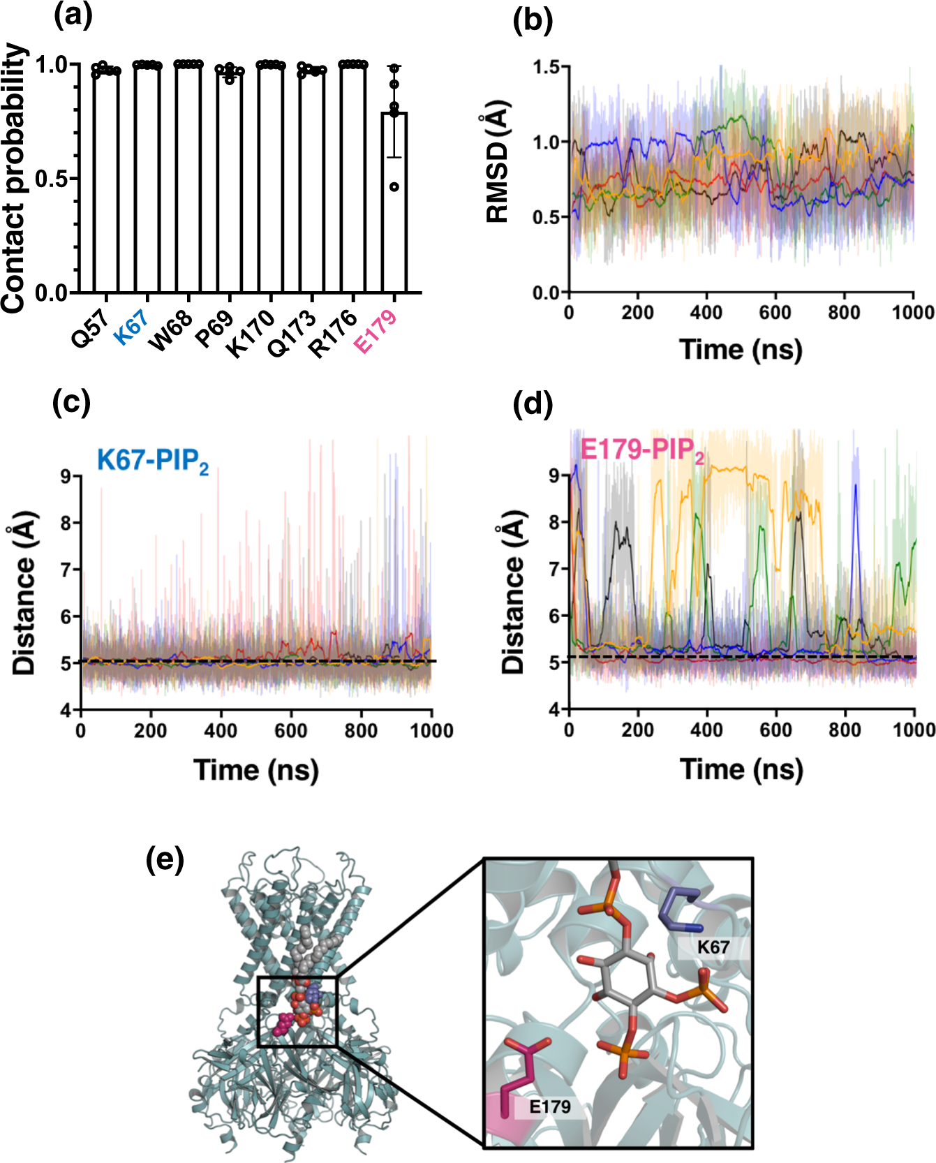 Fig. 1: A PIP2-binding site on hKir6.2.