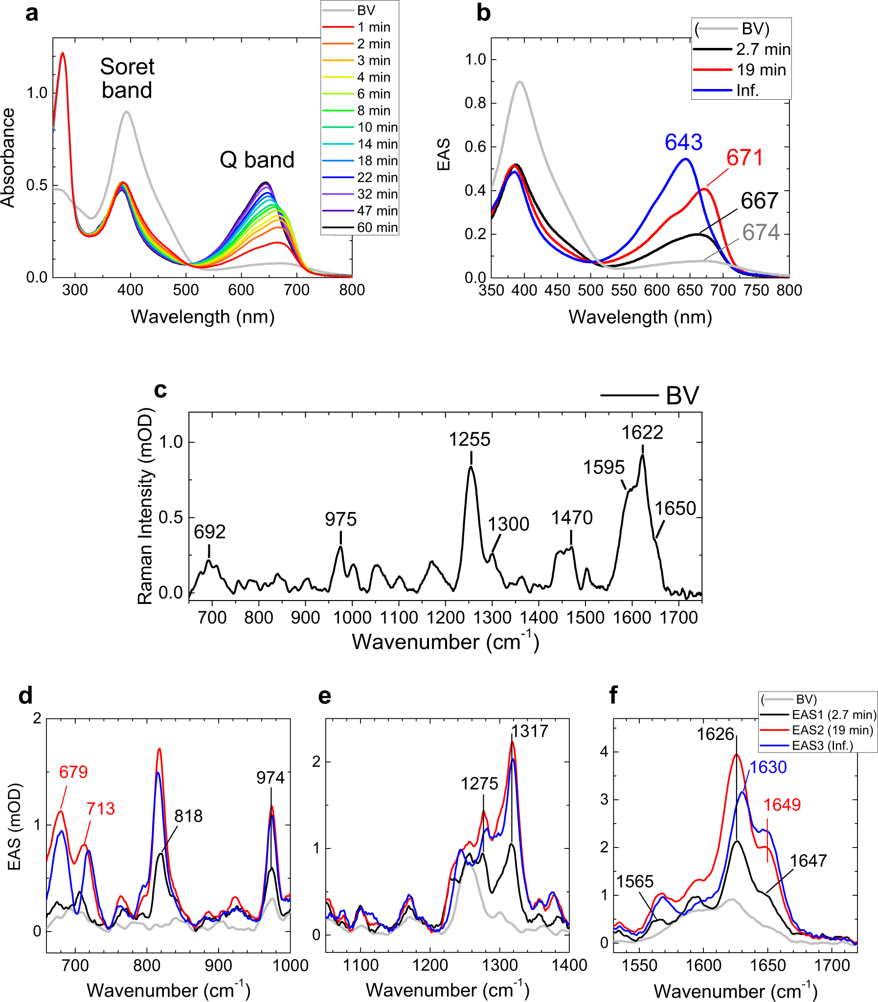 Fig. 2: Time-resolved absorption and Raman spectra of miRFP670/C20A at pH 8.0.