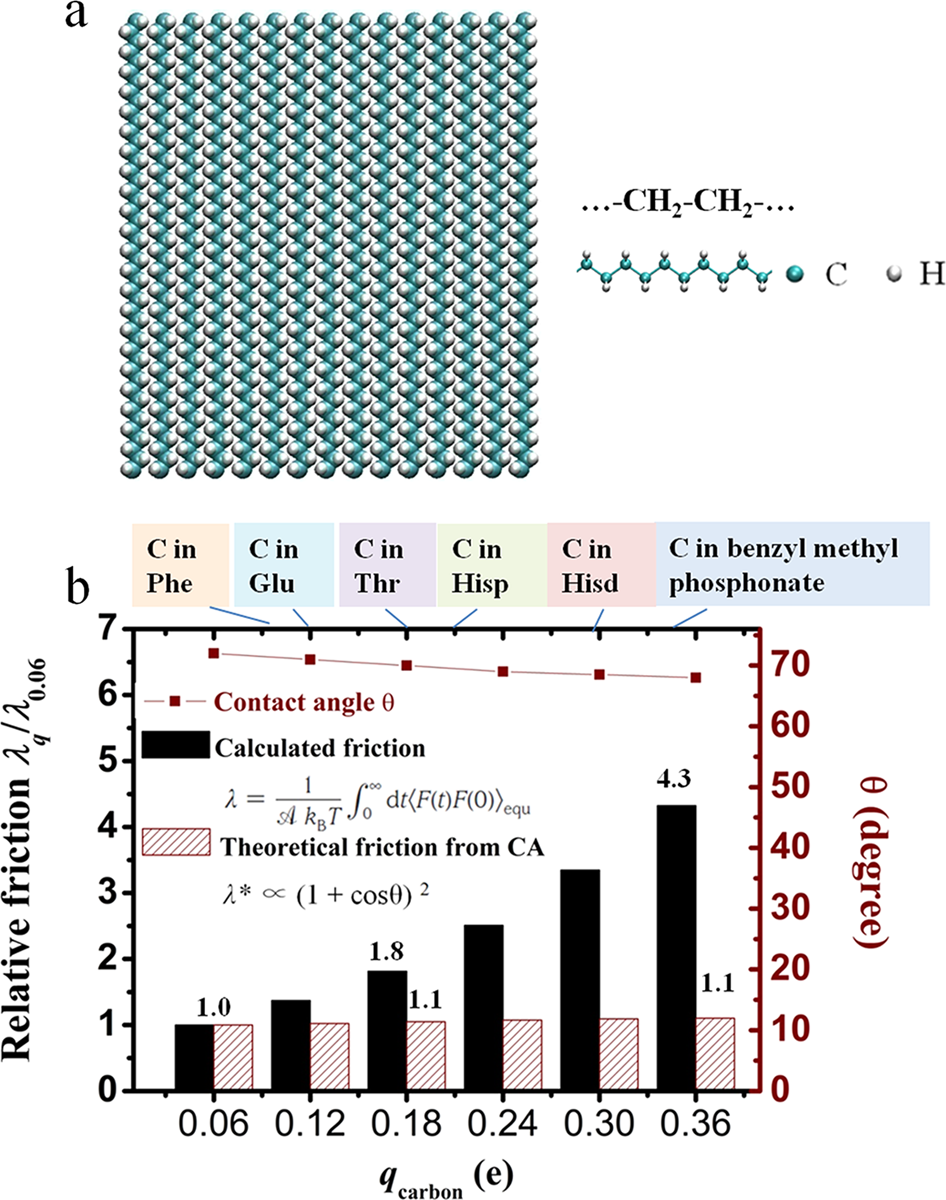 Fig. 4: Relative friction coefficient for biological surface with CH2 groups.