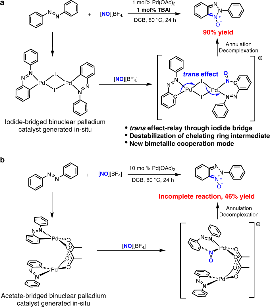 Iodide-enhanced palladium catalysis via formation of iodide-bridged  binuclear palladium complex | Communications Chemistry