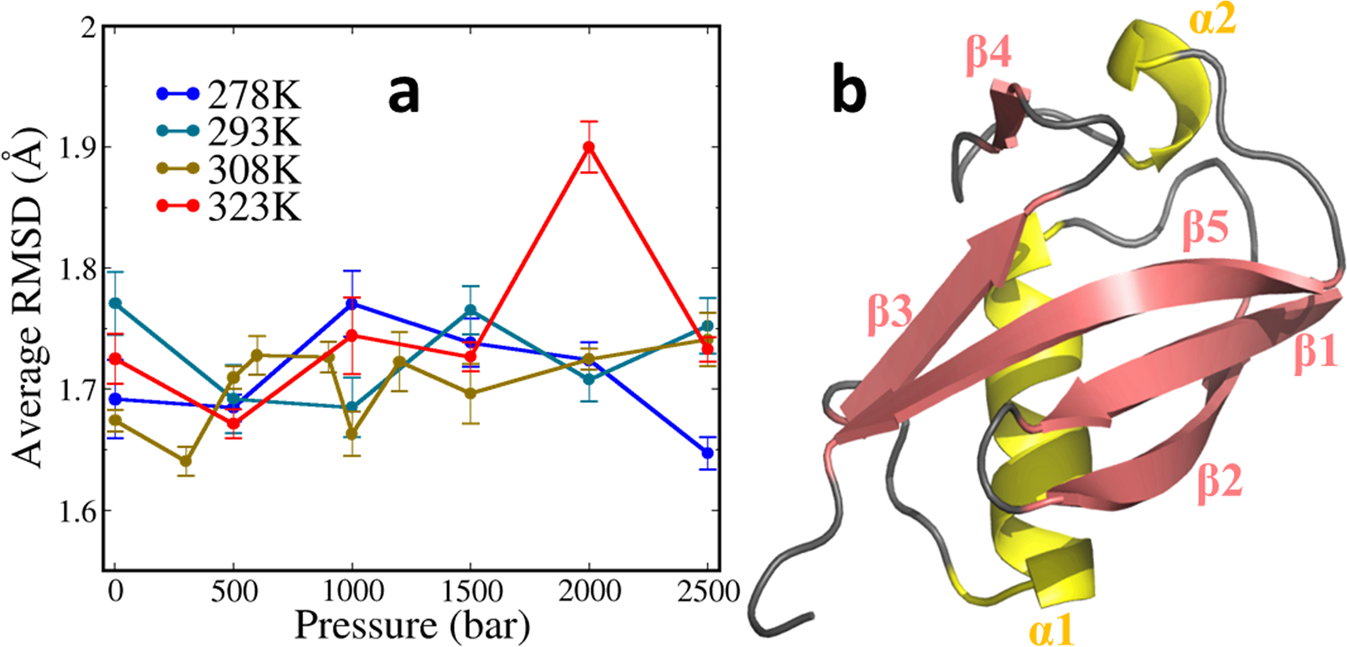 Validating the CHARMM36m protein force field with LJ-PME reveals altered  hydrogen bonding dynamics under elevated pressures | Communications  Chemistry