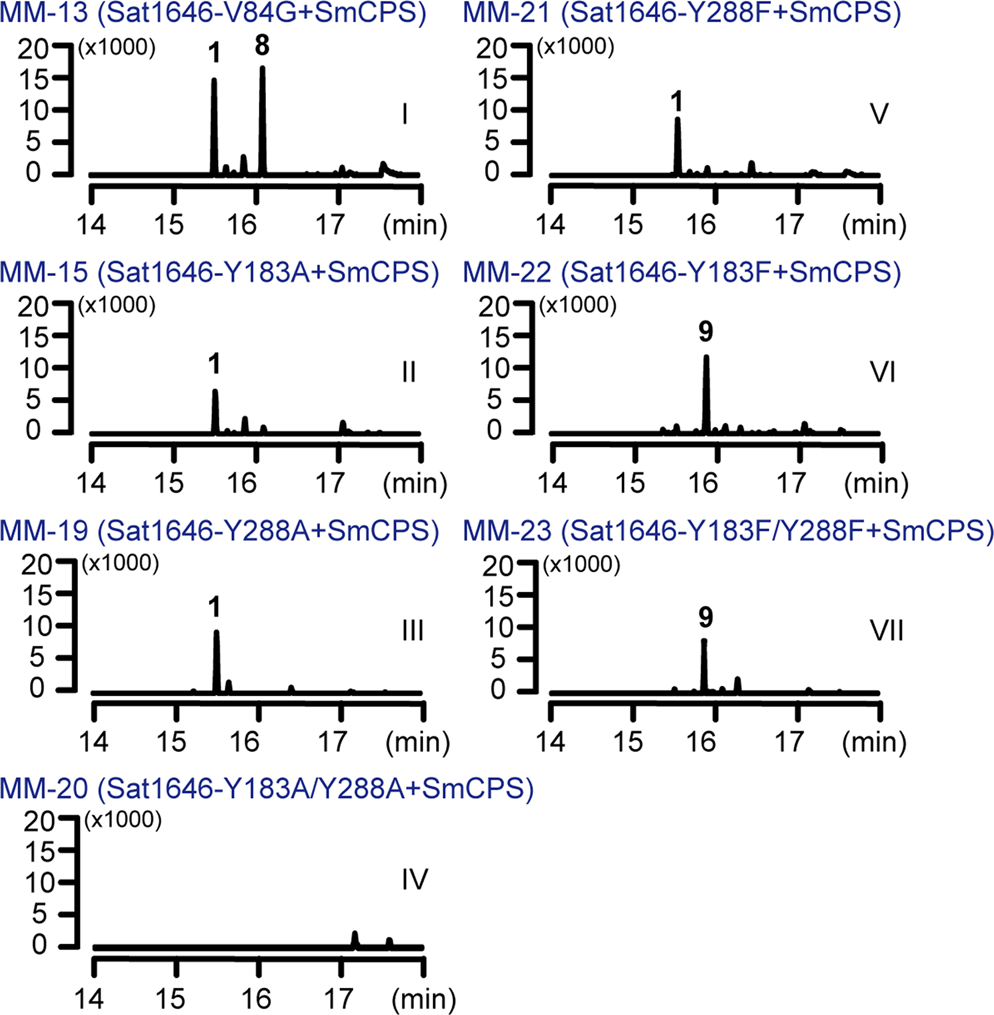 Fig. 4: The GC–MS analysis (extracted ion chromatogram at m/z 272) of different engineered E. coli strains.