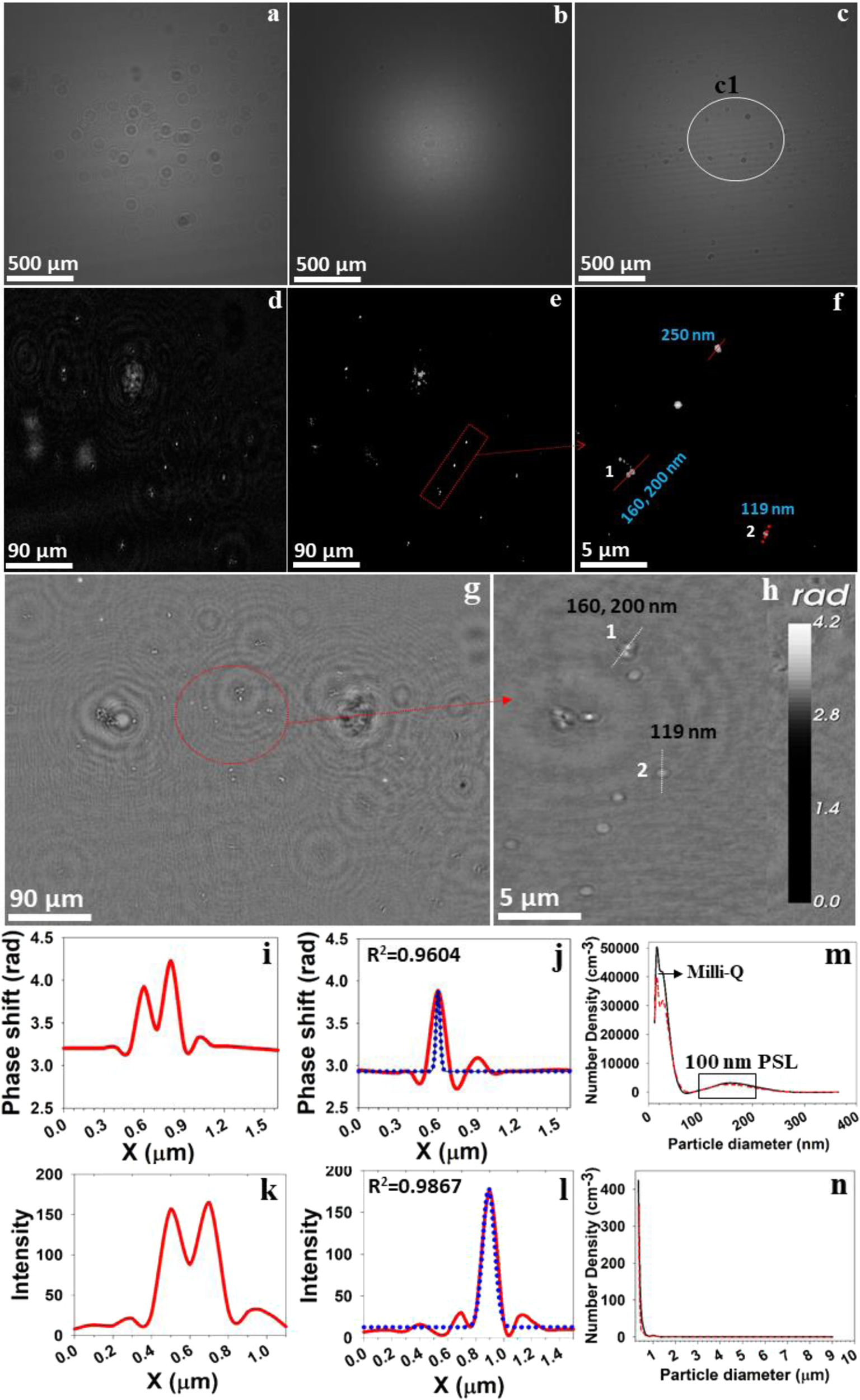 Size Dependence of Liquid–Liquid Phase Separation by in Situ Study of  Flowing Submicron Aerosol Particles