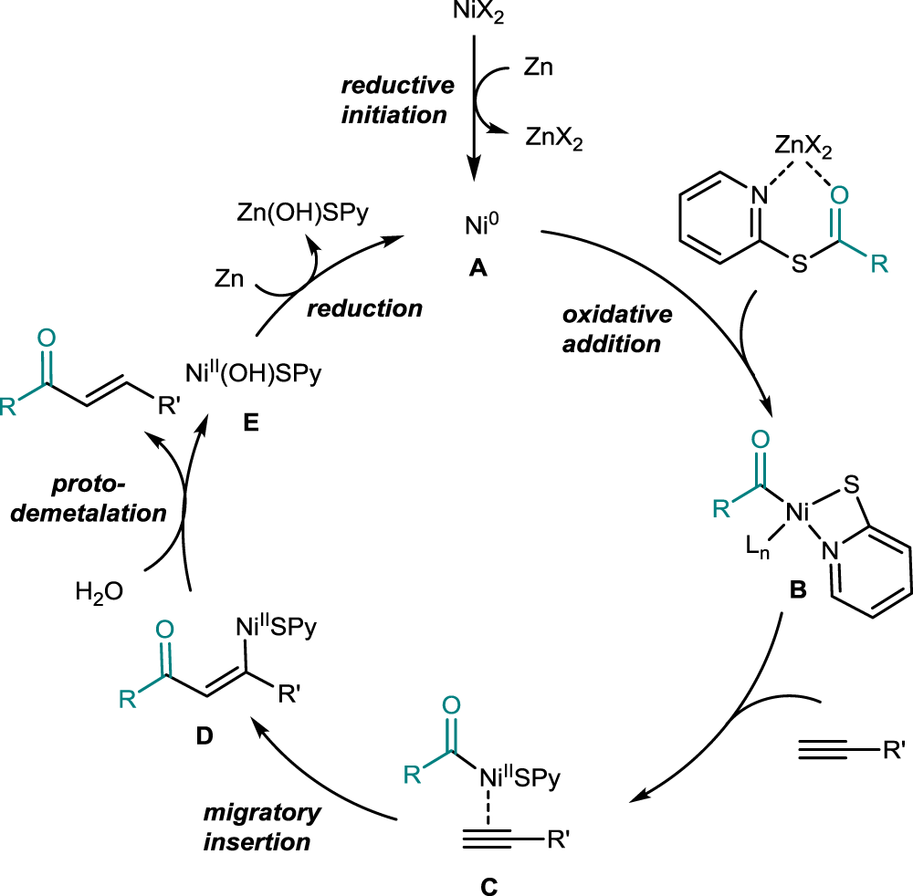 Fig. 4: Proposed catalytic cycle.