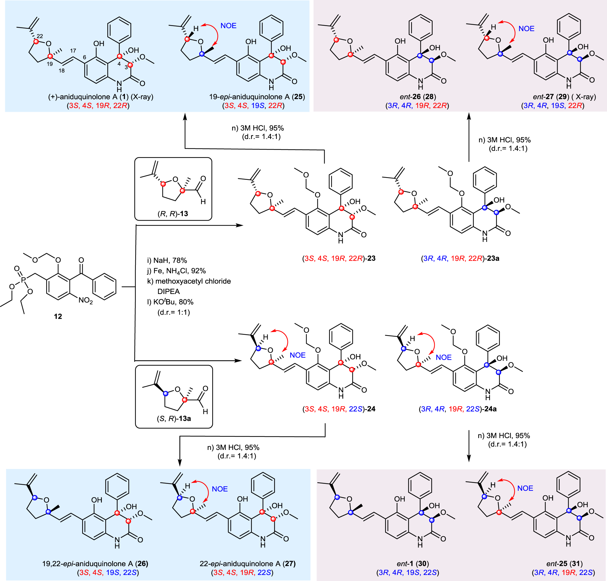 Fig. 4: The syntheses of (+)-aniduquinolone A (1) and its stereoisomers.