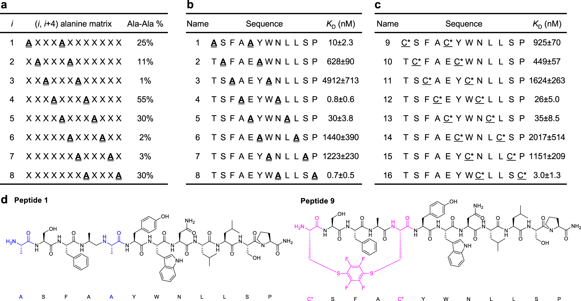 Fig. 3: High-frequency alanine pairs observed in the affinity selection show high tolerance for double mutations.