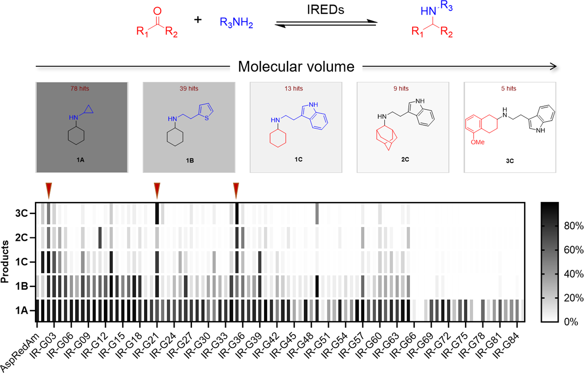 Fig. 2: Screening for IREDs using the increasing-molecule-volume-screening approach.