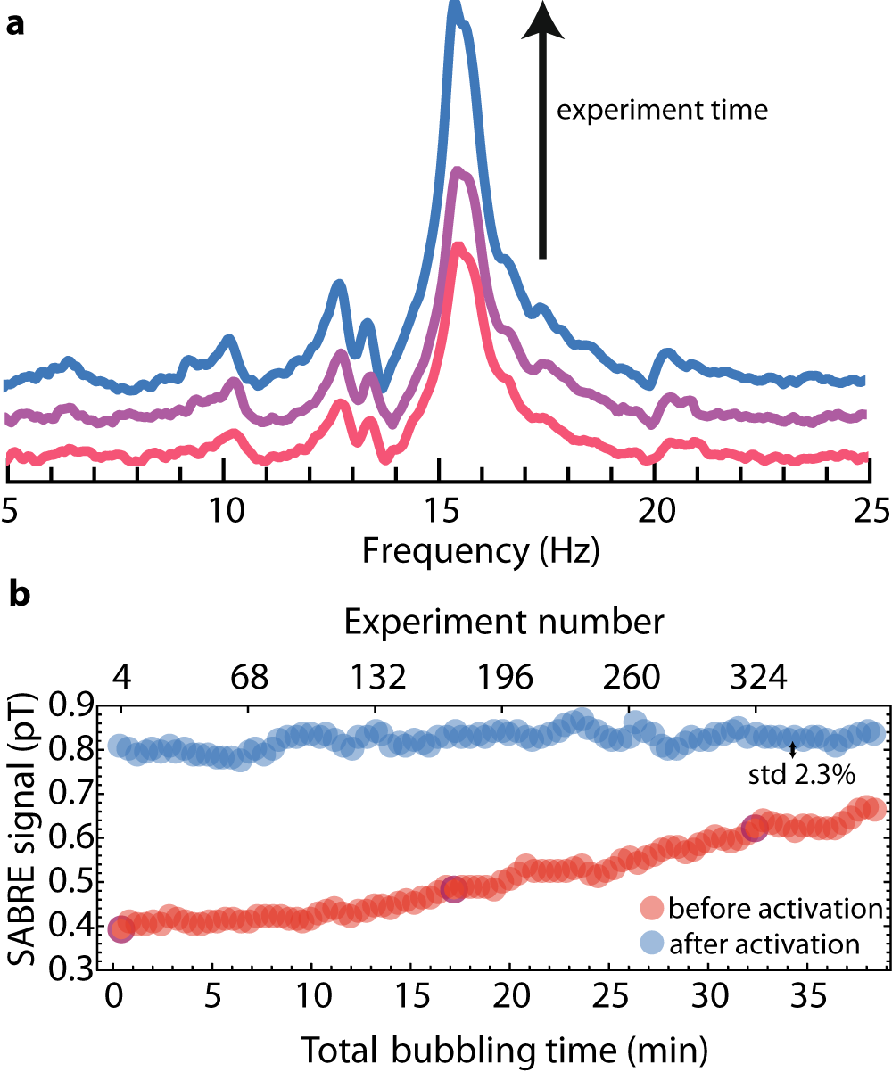 Fig. 2: Time dependence of the zero-field NMR signal of SABRE-polarized pyridine.