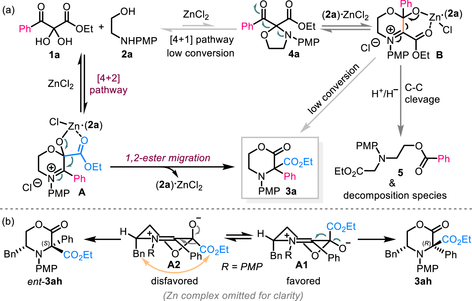 Fig. 7: Proposed reaction mechanism and stereochemical pathway.
