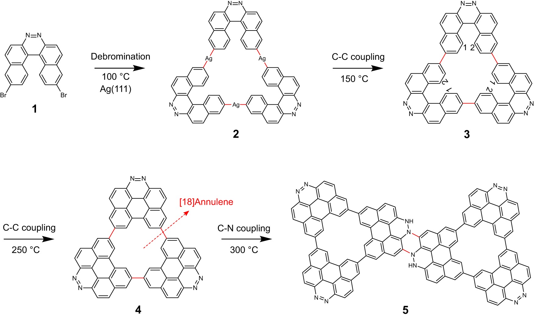Fig. 1: Scheme of reactions of molecule 1.
