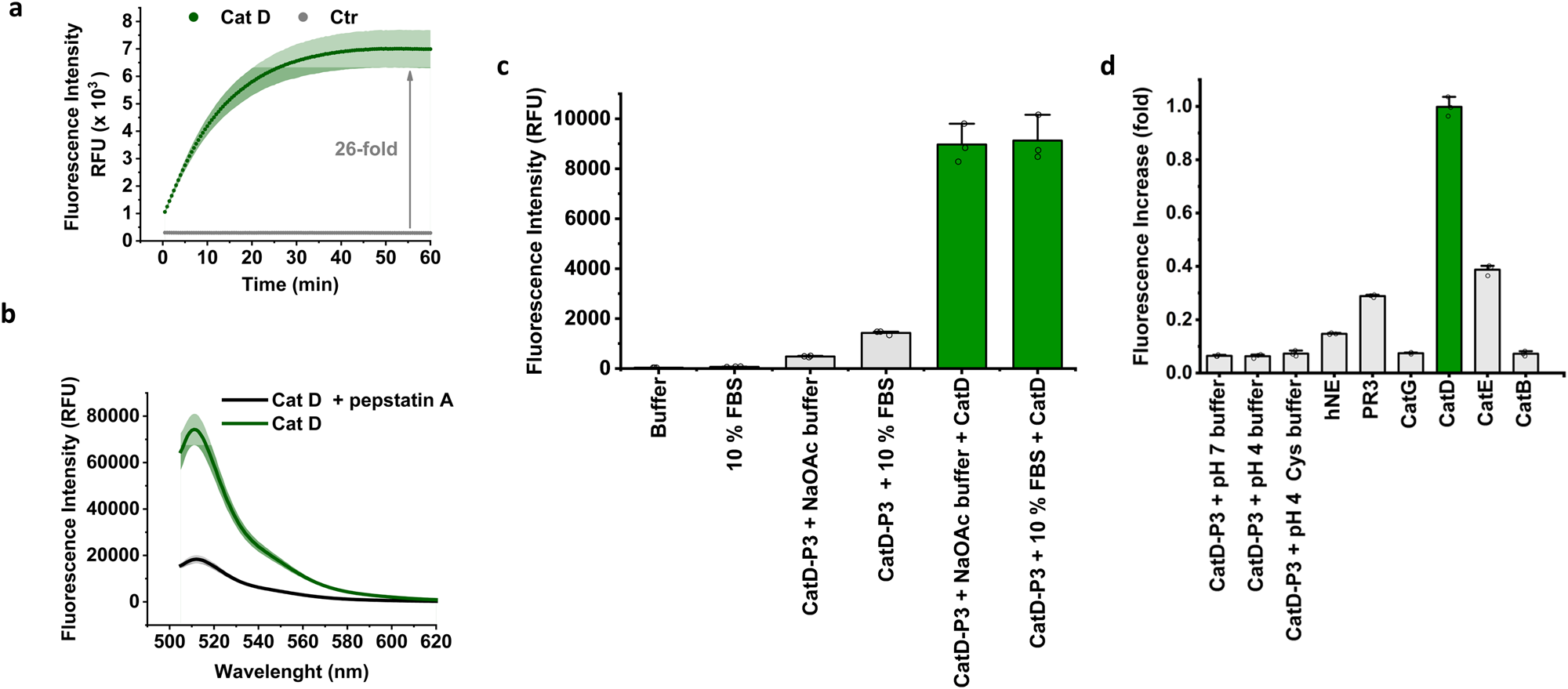 Fig. 3: CatD-P3 activation in vitro.