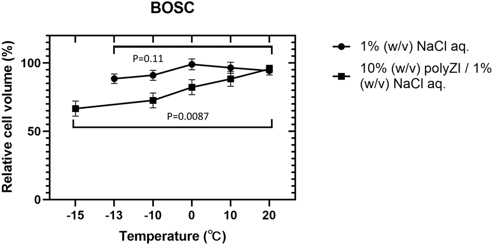 Fig. 7: Gradual dehydration of cells in the isotonic polyZI solution.