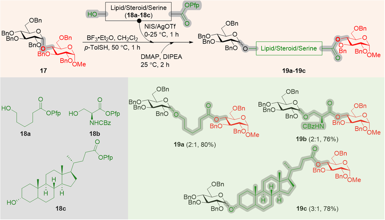Fig. 5: Synthesis of glycohybrids by CIStER technique.