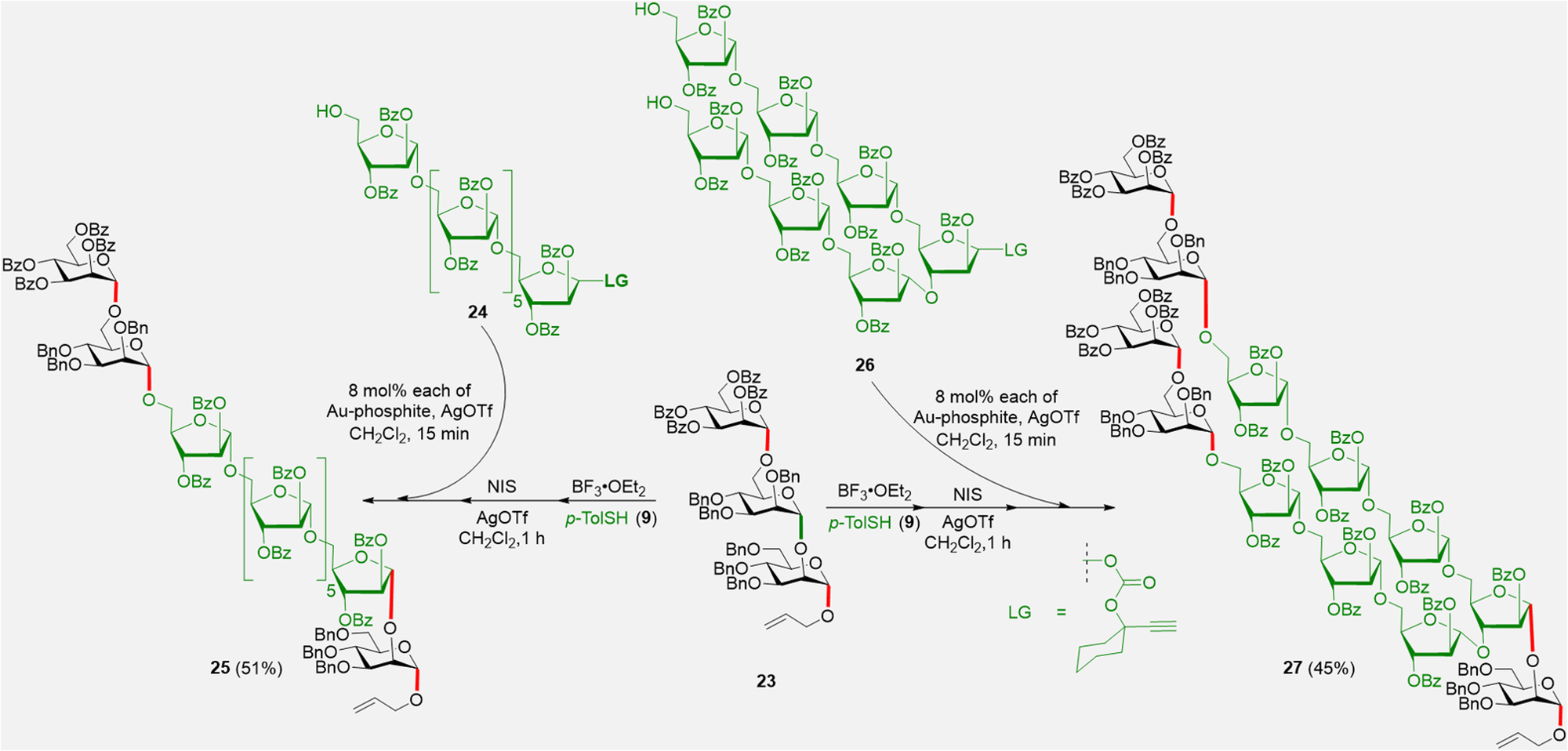 Fig. 7: Synthesis of linear and branched oligosaccharides using CIStER.