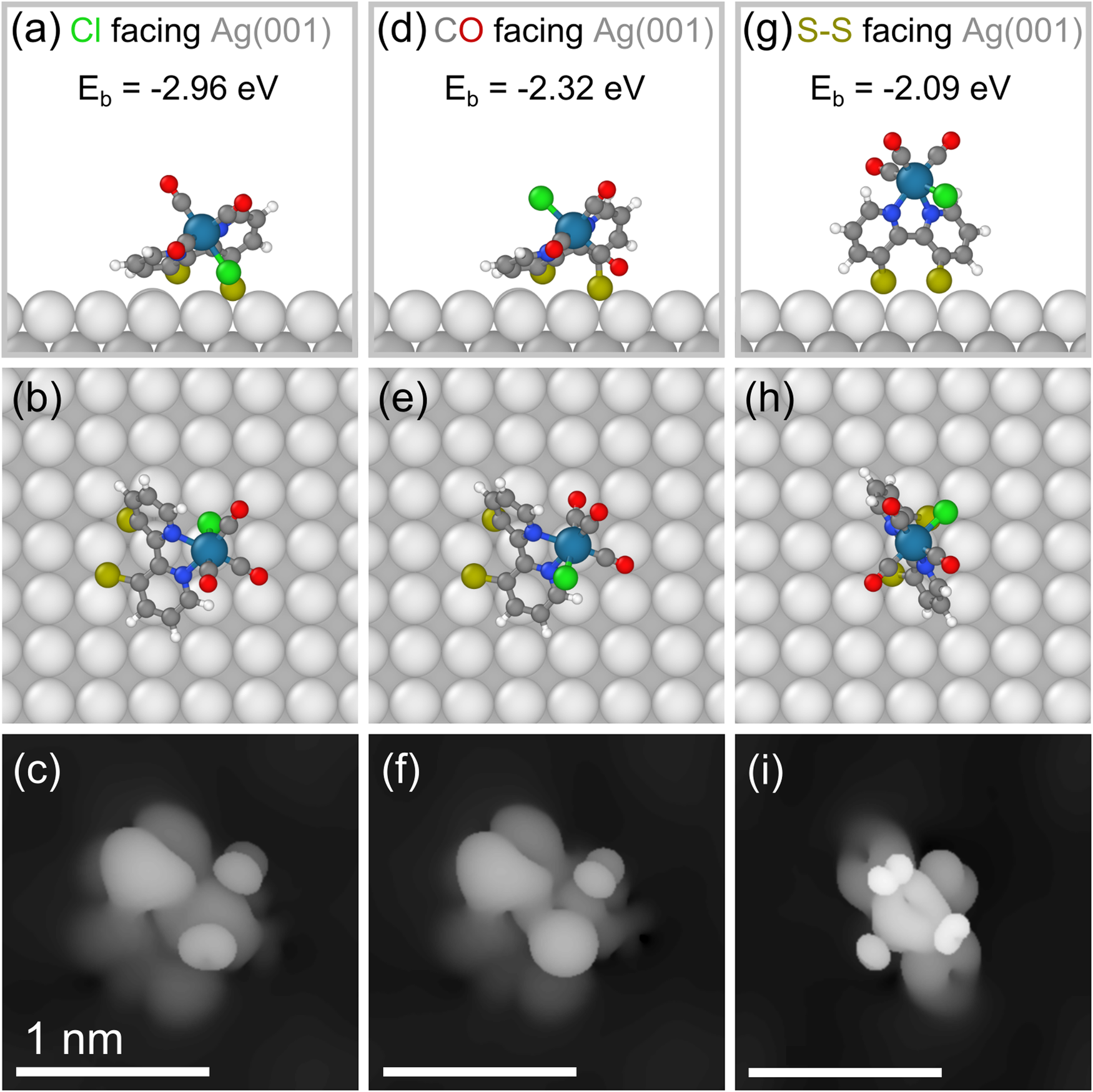 Fig. 4: DFT calculated adsorption configurations.