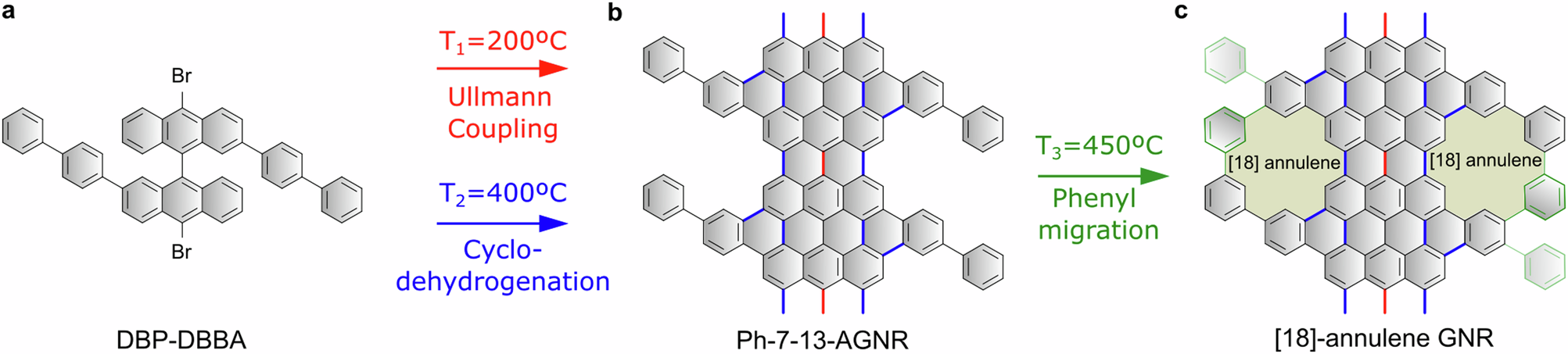 Fig. 1: Schematic illustration of the synthetic steps for the generation of porous [18]-annulene GNRs.
