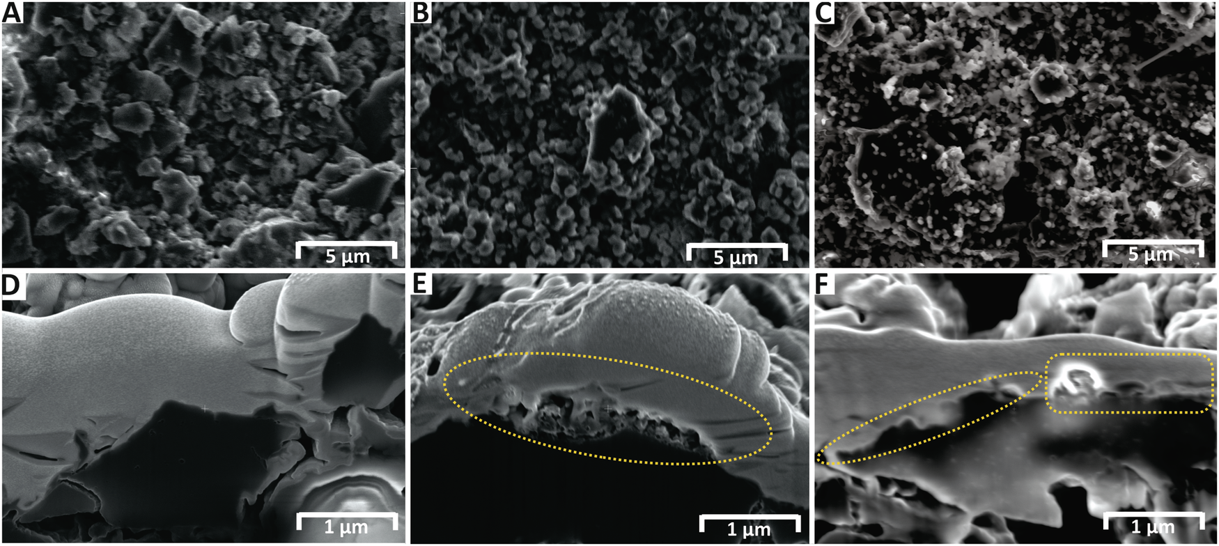 Fig. 4: FIB-SEM analysis of HCCEs before and after galvanostatic anodic polarization.