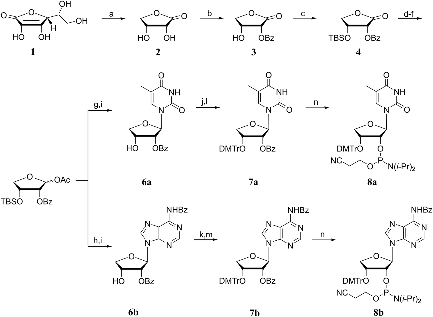 Fig. 3: Synthesis of eTNA phosphoramidites.