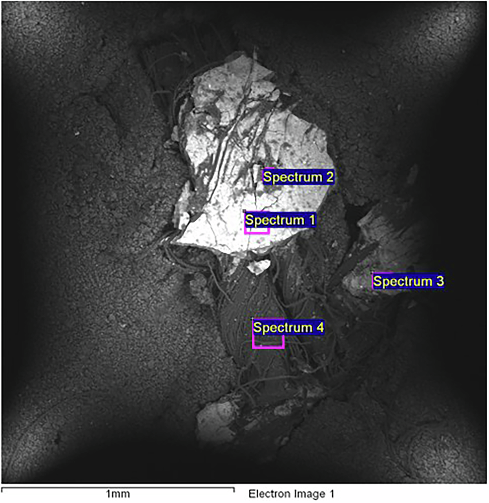 Fig. 13: Scanning electron microscopy of first fragment of sample S3.