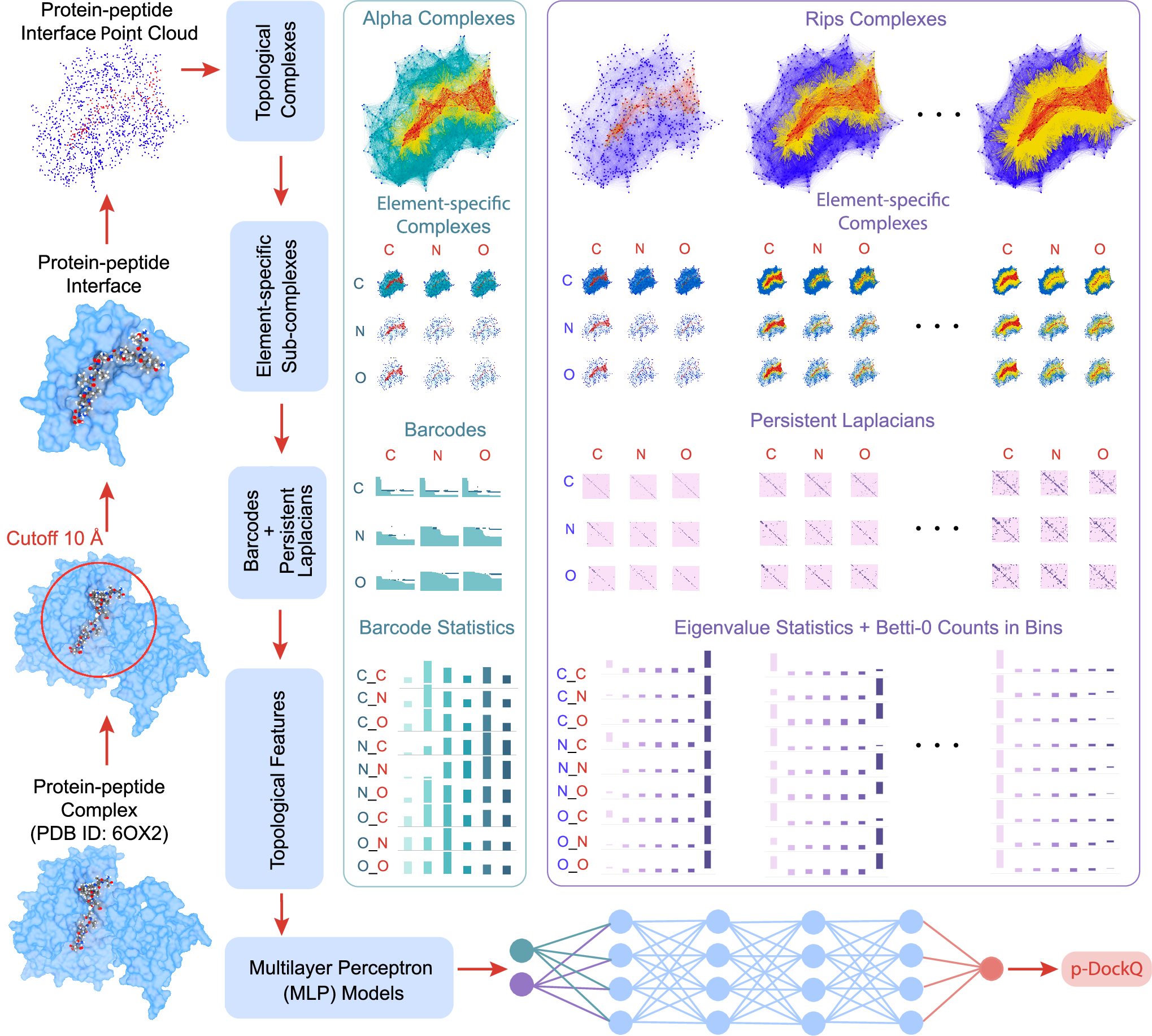 Topological deep learning for enhancing peptide-protein complex prediction  | Communications Chemistry