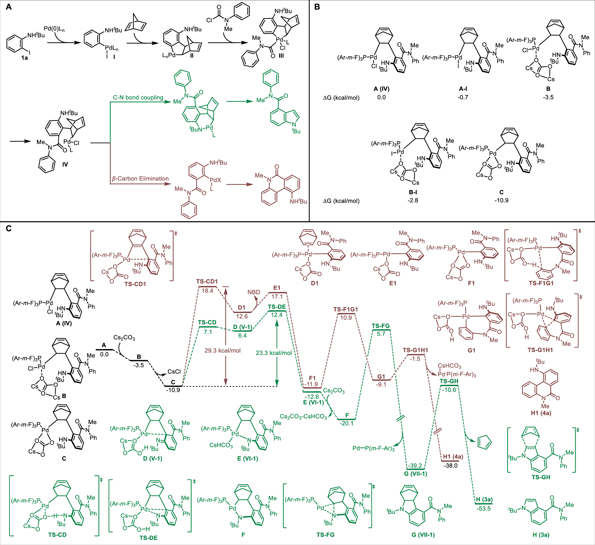 Scheme 5: Density functional theory (DFT) calculations.