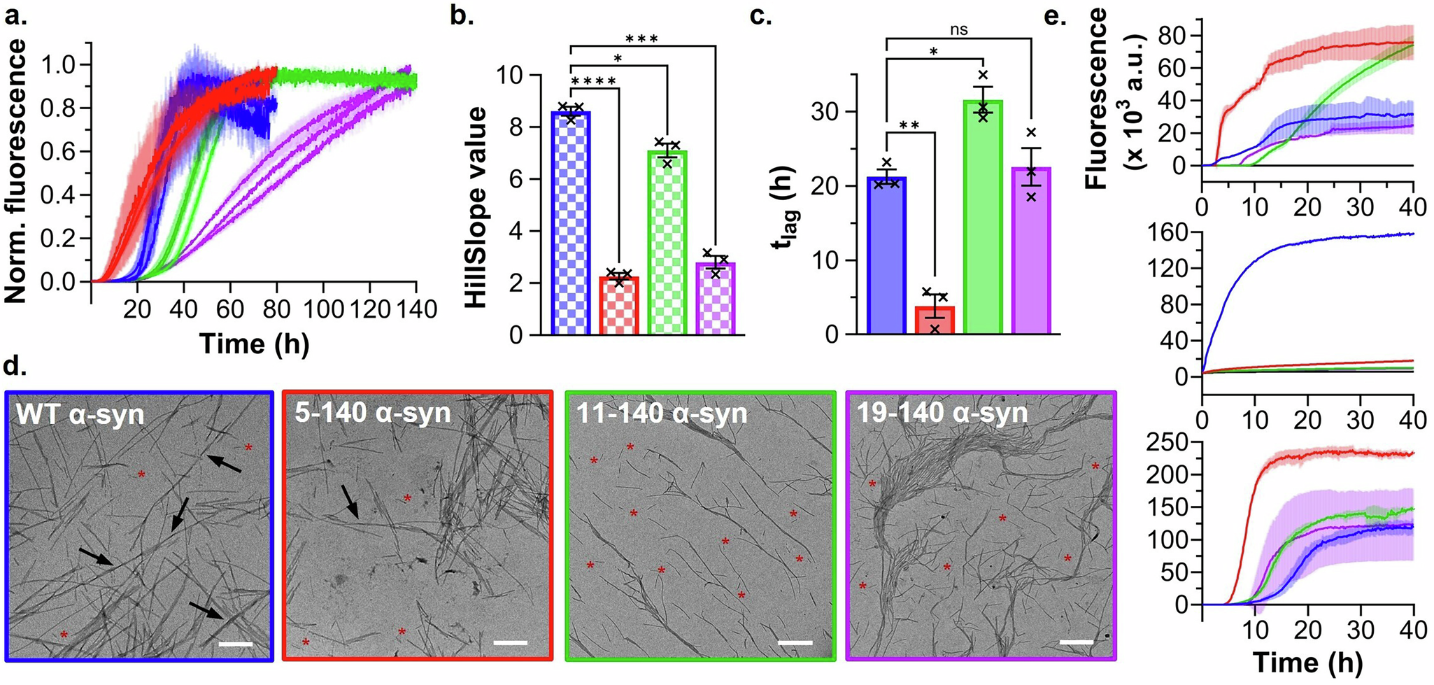 Fig. 5: The microscopic steps of α-syn amyloid aggregation.