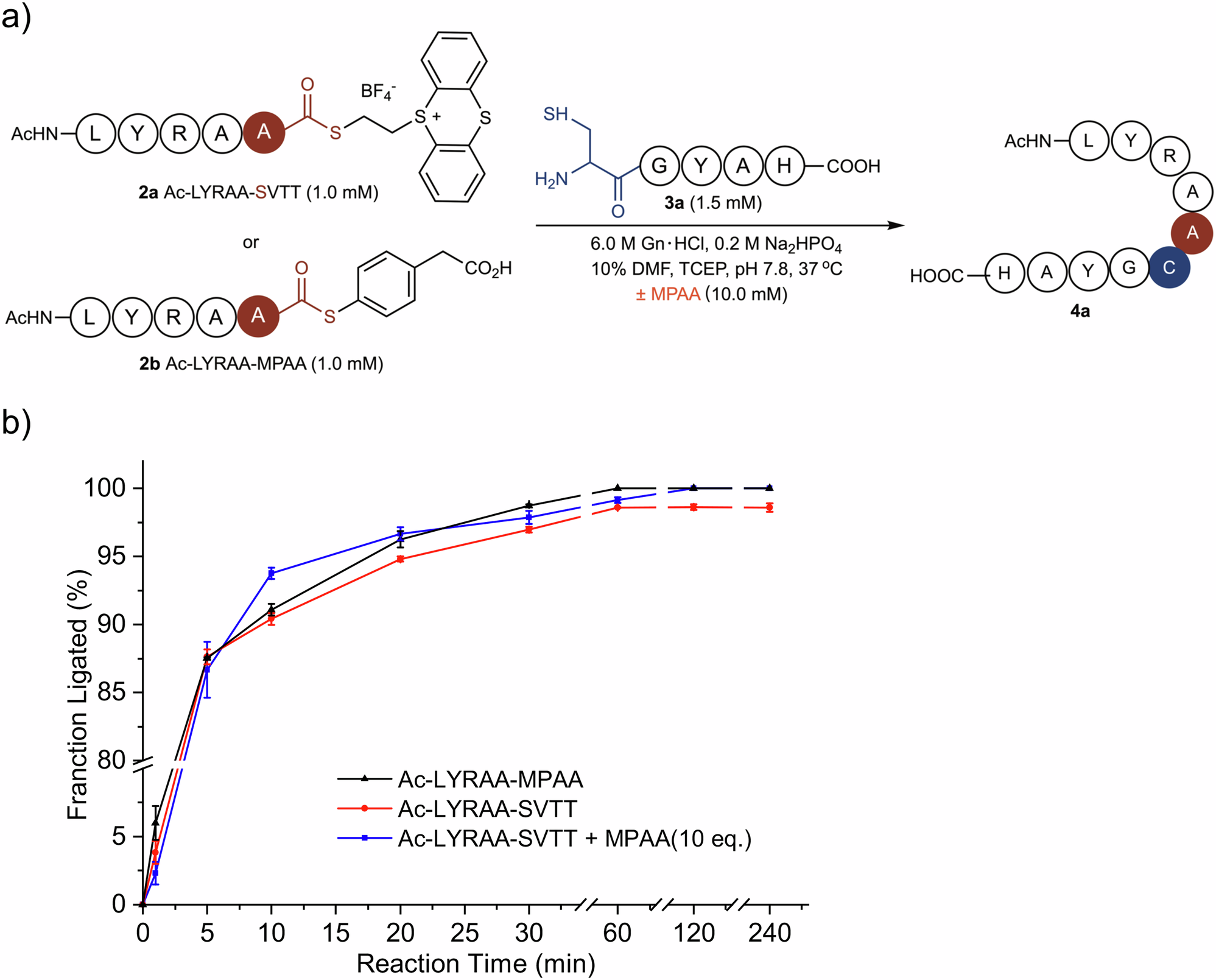 Fig. 2: Reactivity comparison between Ac-LYRAA-SVTT (2a) thioester and Ac-LYRAA-MPAA (2b) thioester.