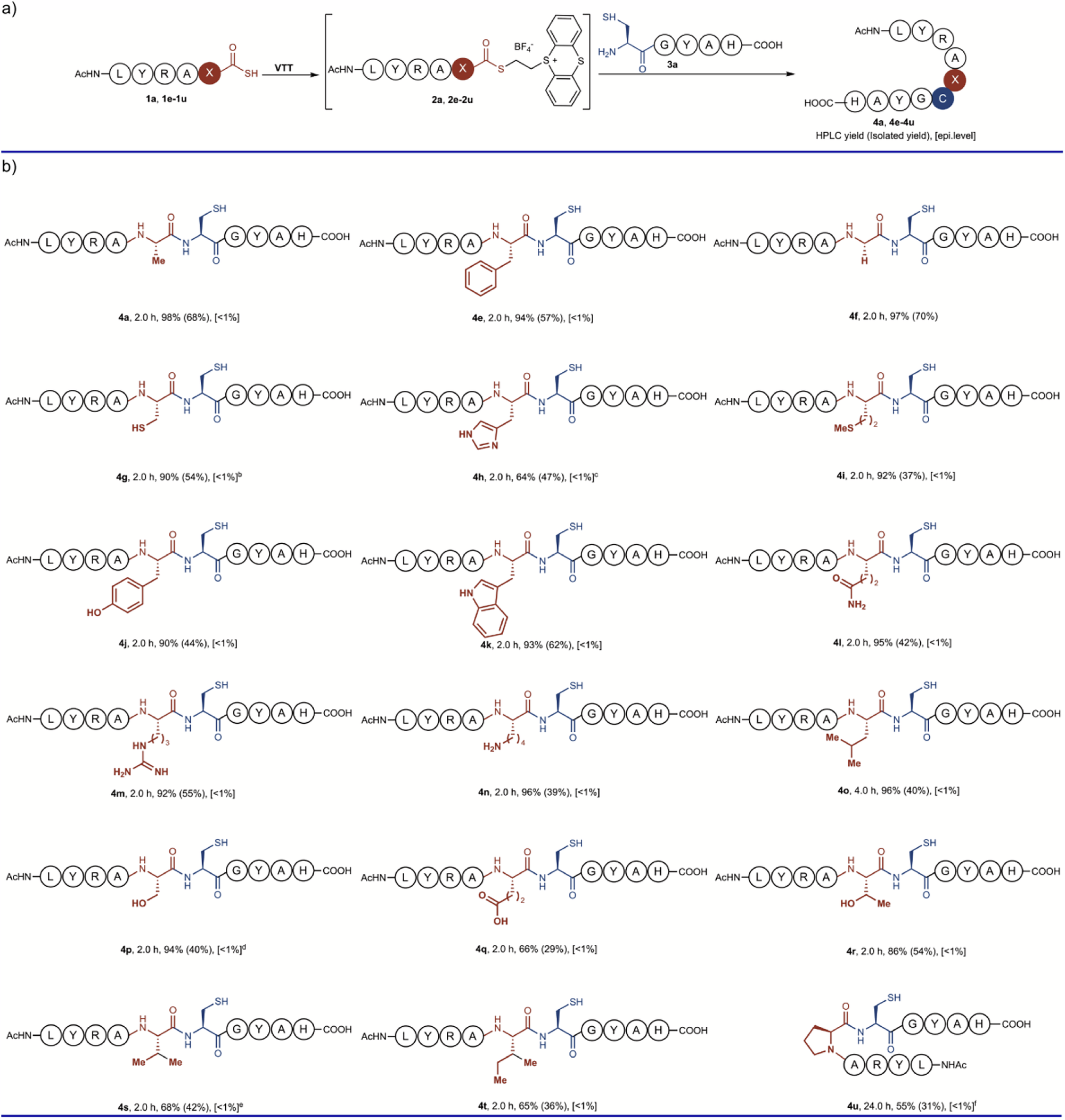 Scheme 1: Scope of the C-terminal amino acids for the VTANCL strategya.