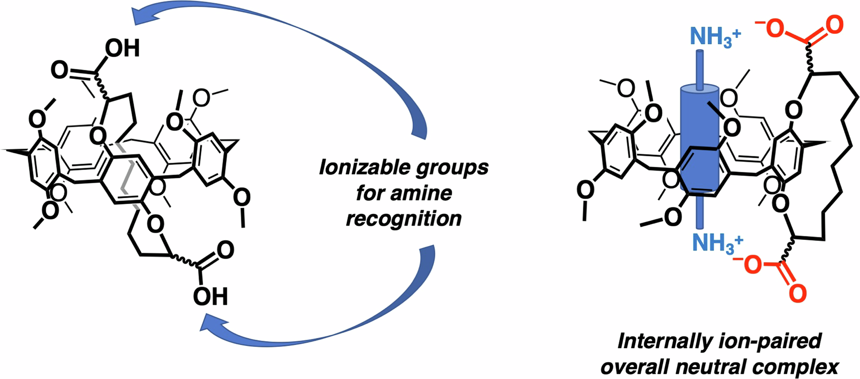 Fig. 2: Proposed complexation mechanism of the dicarboxyl pillar[5]arene pseudo[1] catenane.