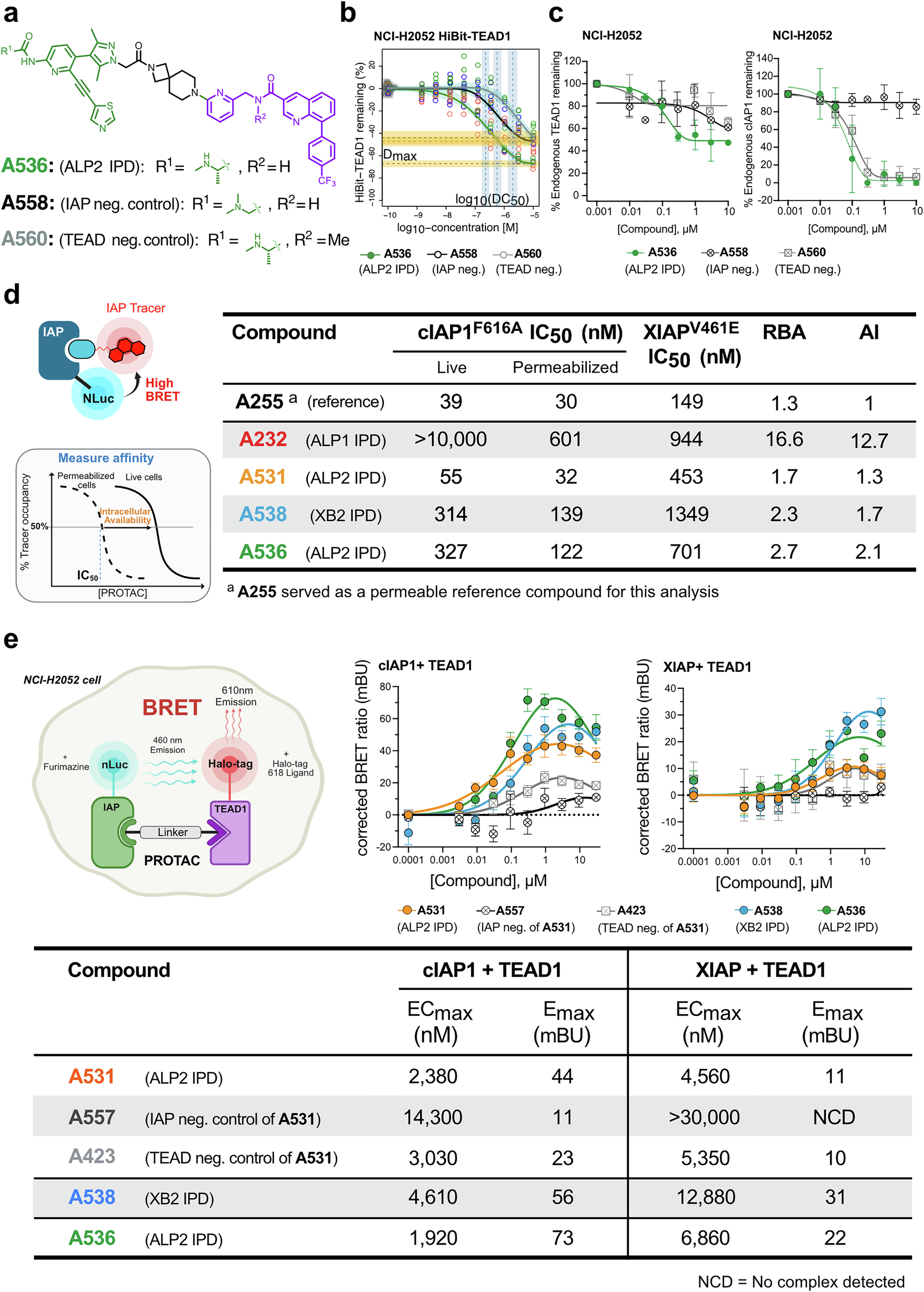 Fig. 5: Profiling of rigid linker variation of ALP2 series and assessing IAP engagement, permeability and ternary complex formation by IPD hits.