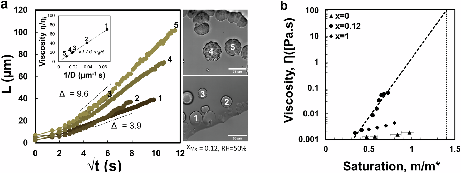 Fig. 5: Growth kinetics of spherulites in evapora mixed salt solution.