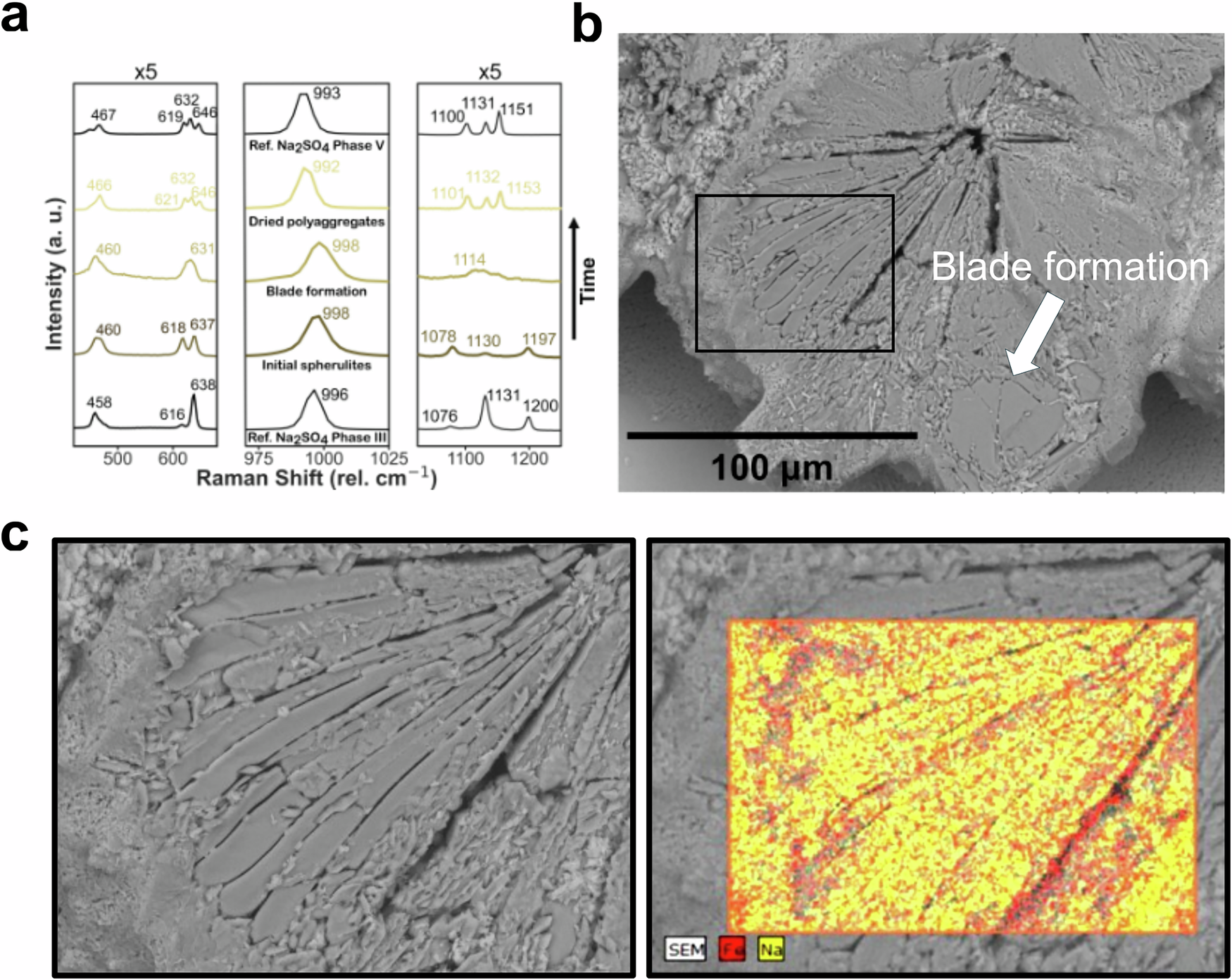 Fig. 7: Evolution of spherulites towards more stable phases.