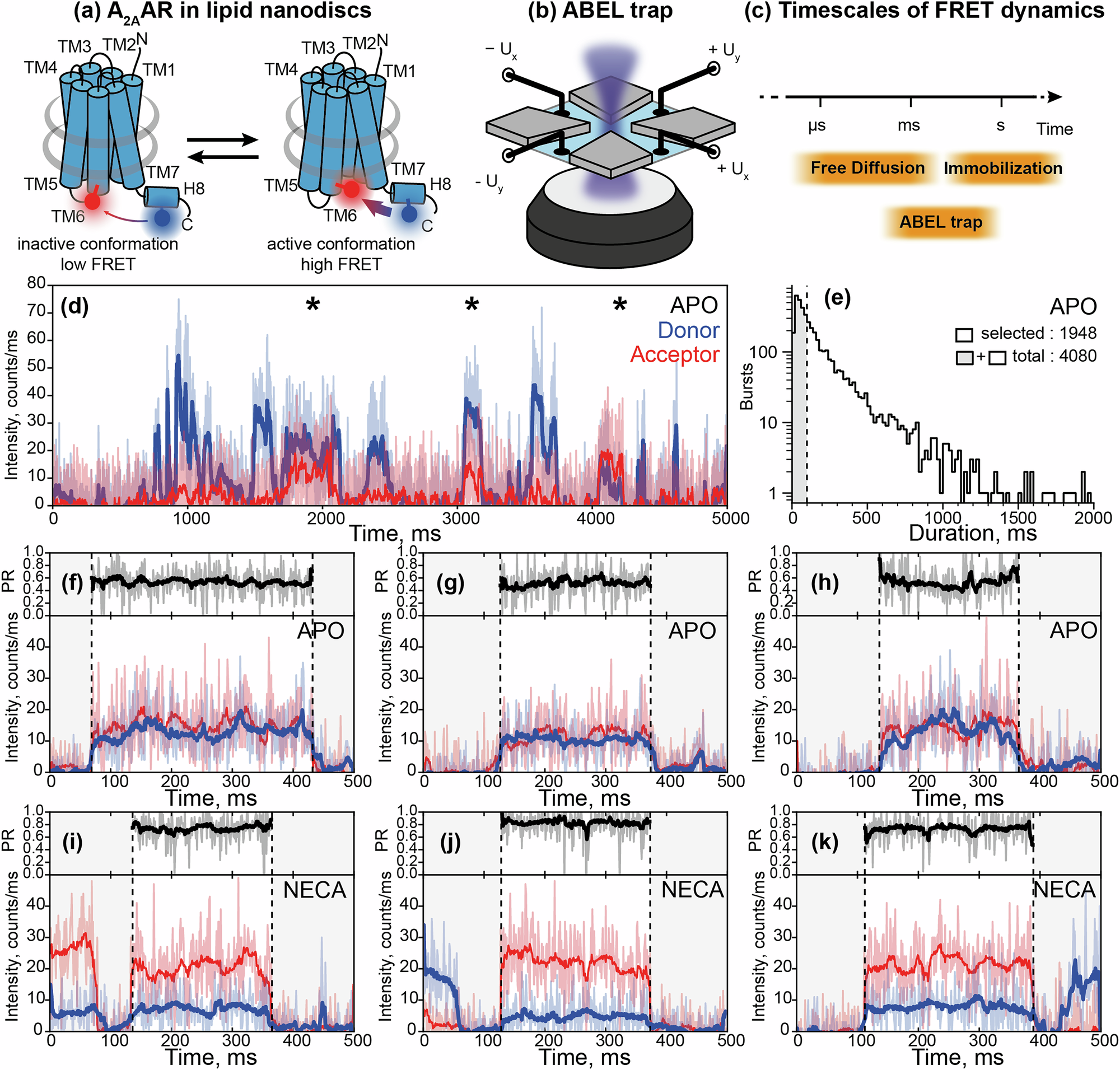 Fig. 1: smFRET dynamics of individual A2AARs in the ABEL trap.