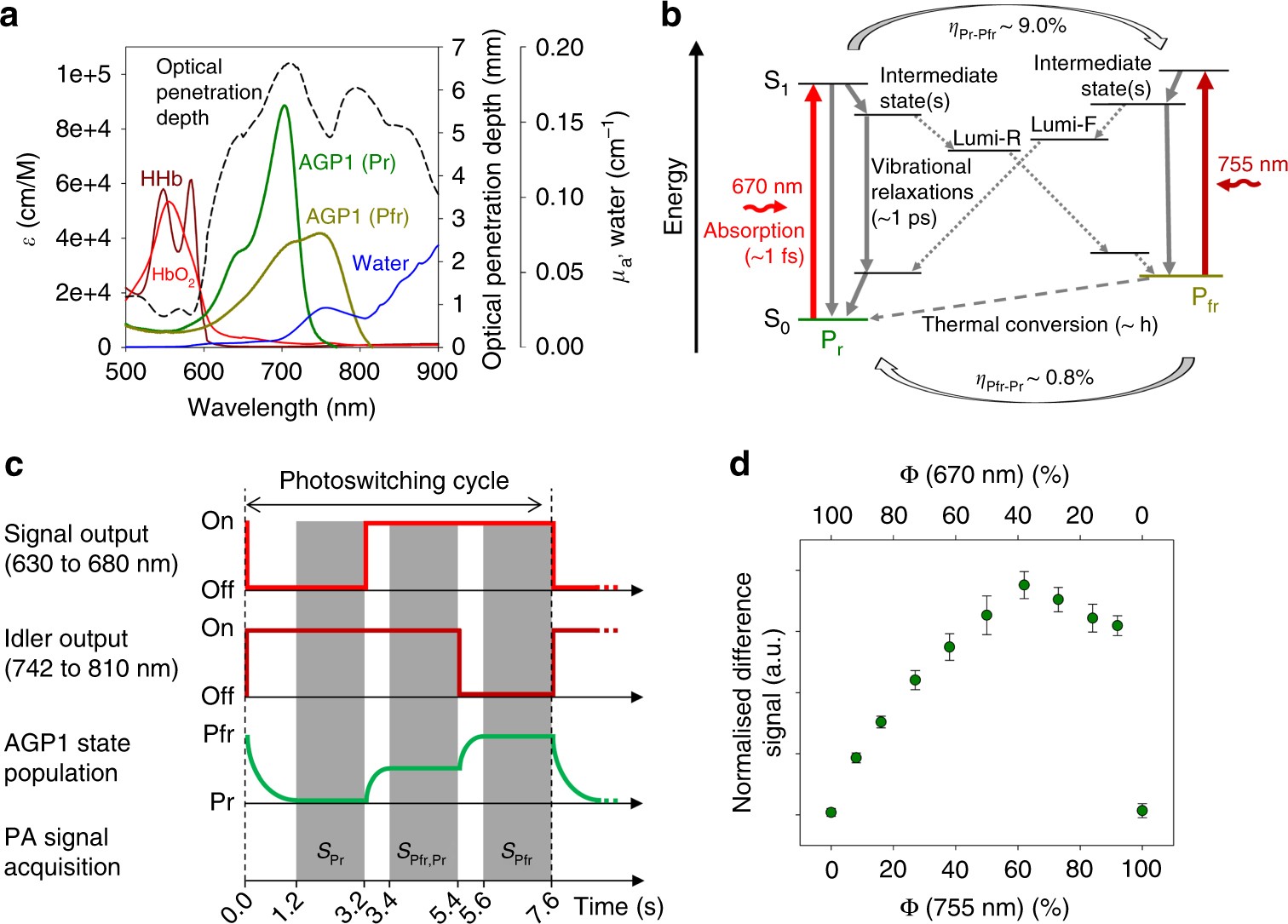 Dual-wavelength 3D photoacoustic imaging of mammalian cells using a photoswitchable phytochrome reporter protein | Communications Physics